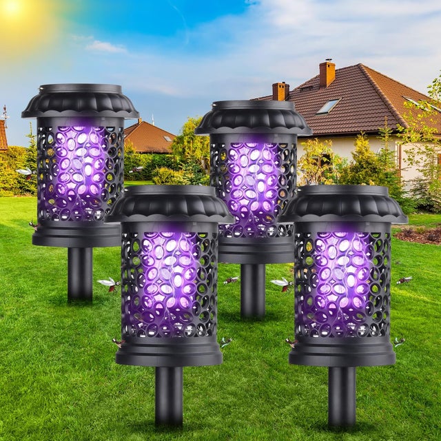 Pièges à Insectes, Anti Moucherons Interieur 30pcs MCBOSON