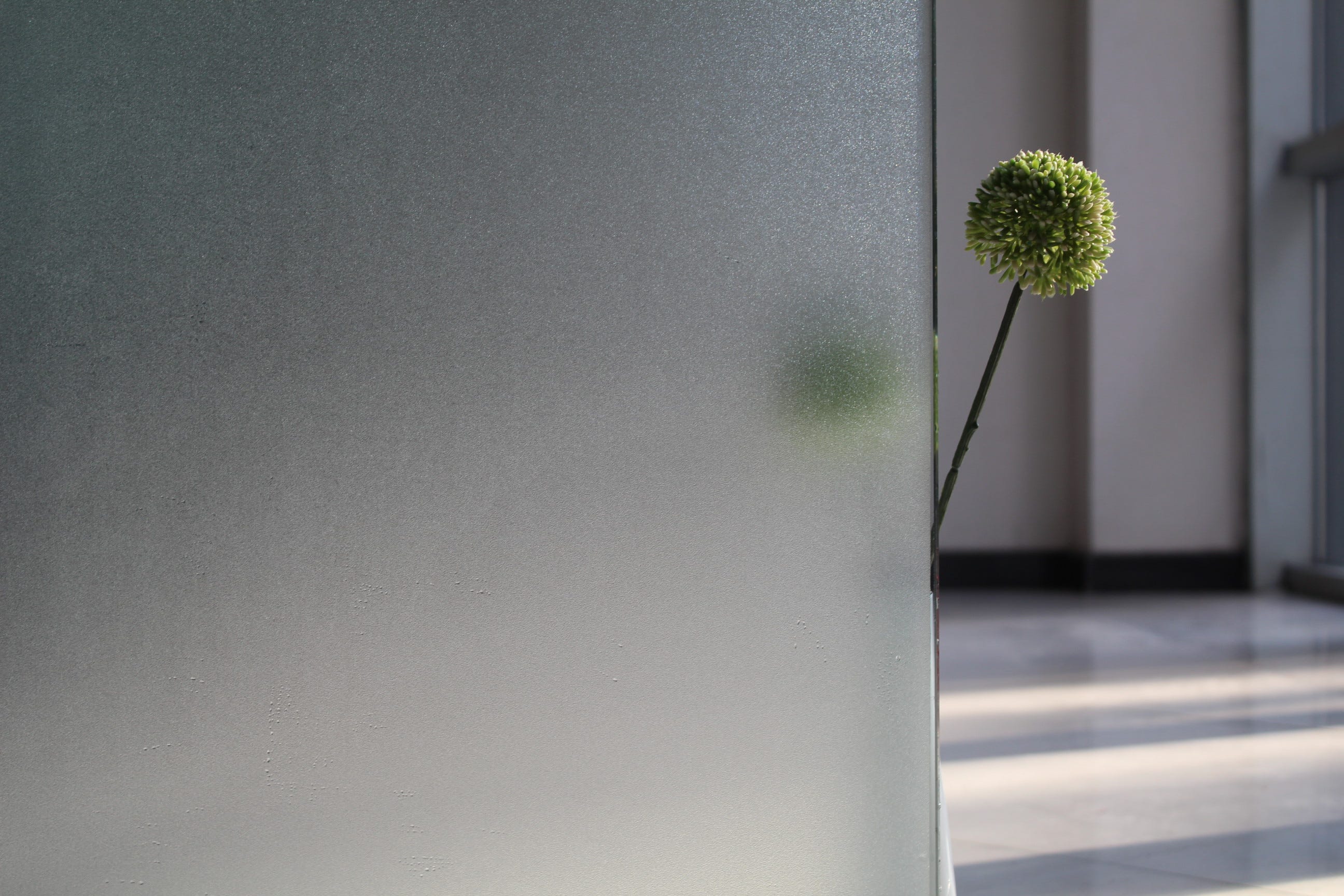 Lifetree Pellicola autoadesiva per finestra, motivo privacy, in vinile opaco, opaca, decorativa, per vetro e bagno (bianco, 75 x 200 cm Lifetree Pellicola autoadesiva per finestra, motivo privacy, in vinile opaco, opaca, decorativa, per vetro e bagno (bianco, 75 x 200 cm