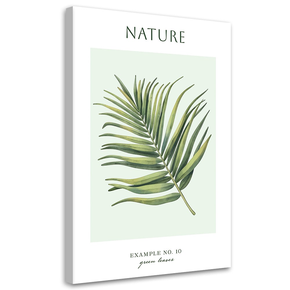 Obraz na płótnie, Zielone liście - Natura 70x100