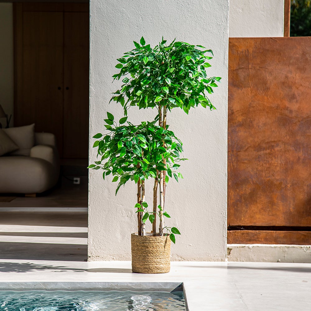 Ficus artificiel à plateaux - 4