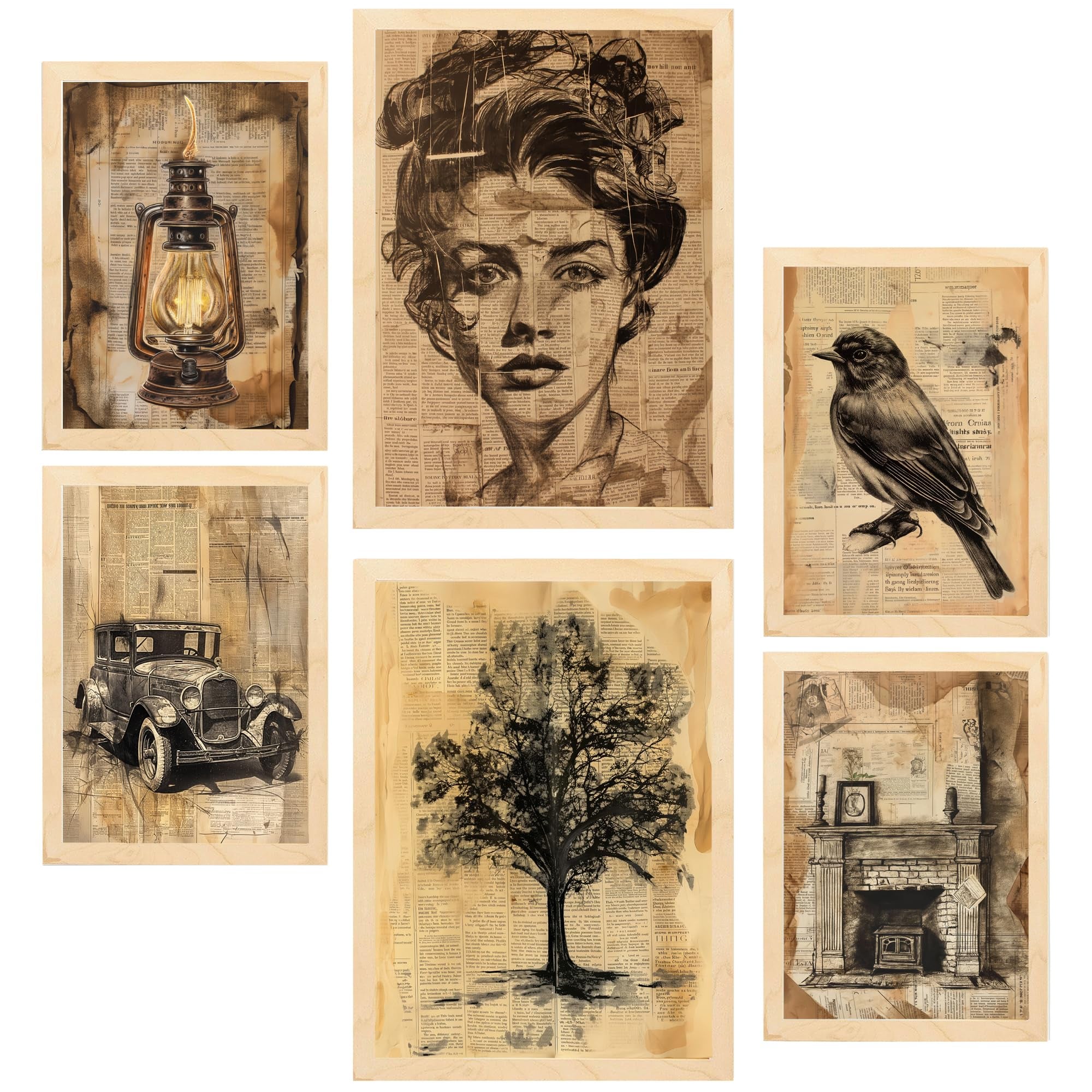 Set de 6 vintage life secrets. woman, bird car, home cuadros con ilustración de diseño para decorar. tienda. a3 y a4. marco madera clara