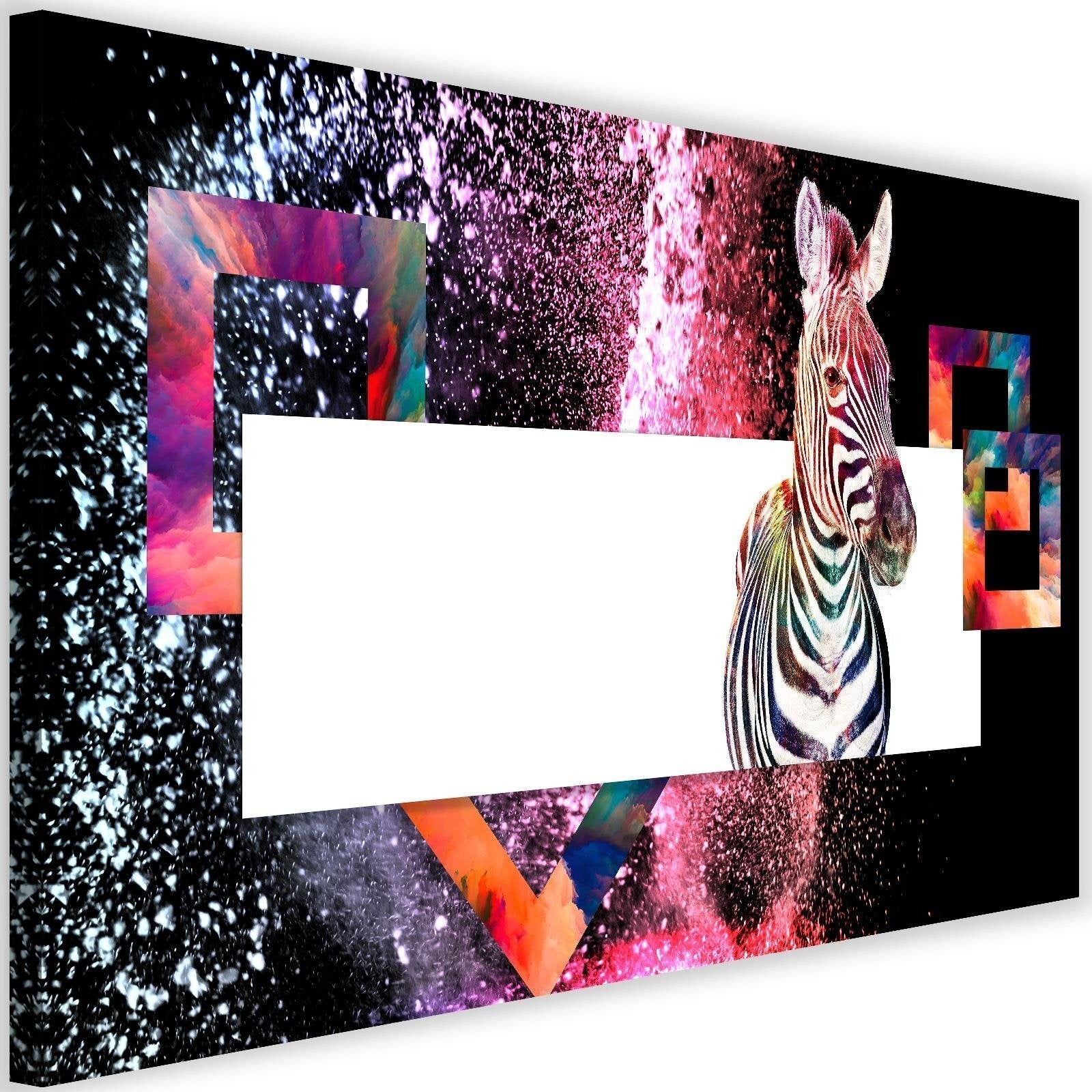 Obraz na płótnie, Kolorowa zebra abstrakcja dla dzieci 60x40