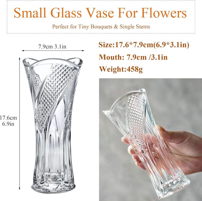 Winter Shore Vase Or pour Centres de Table - 28 cm - Cylindre en Verre Winter Shore Vase Or pour Centres de Table - 28 cm - Cylindre en Verre