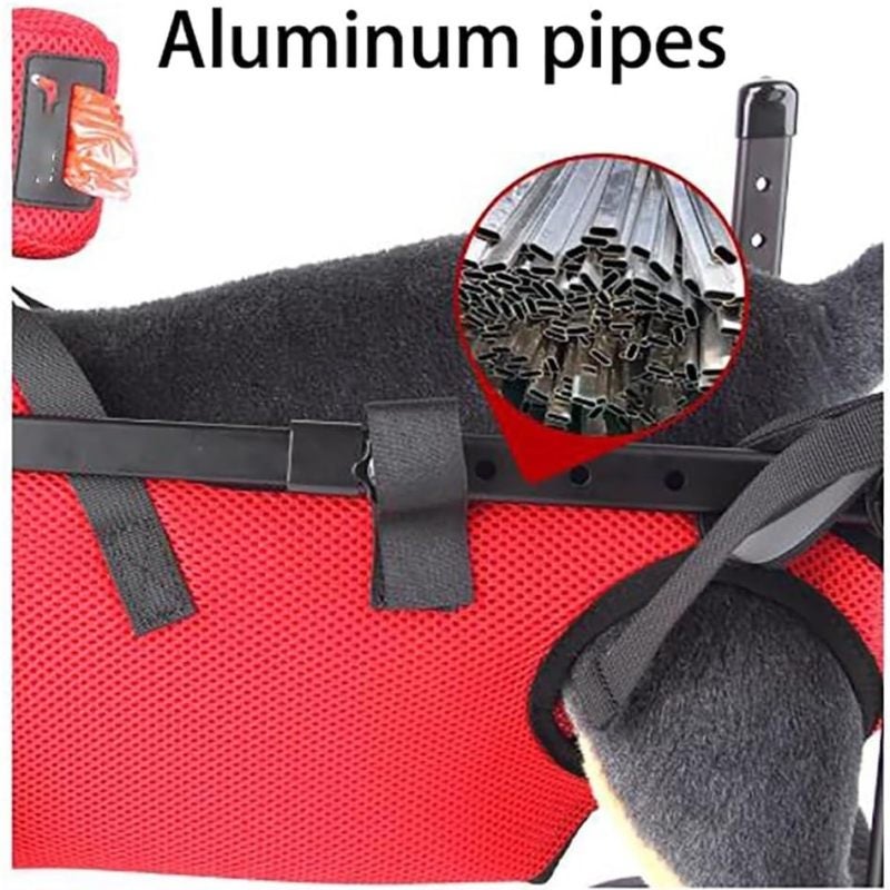 Silla de ruedas personalizada para perros, ruedas con amortiguación, correas de seguridad (L) - 2