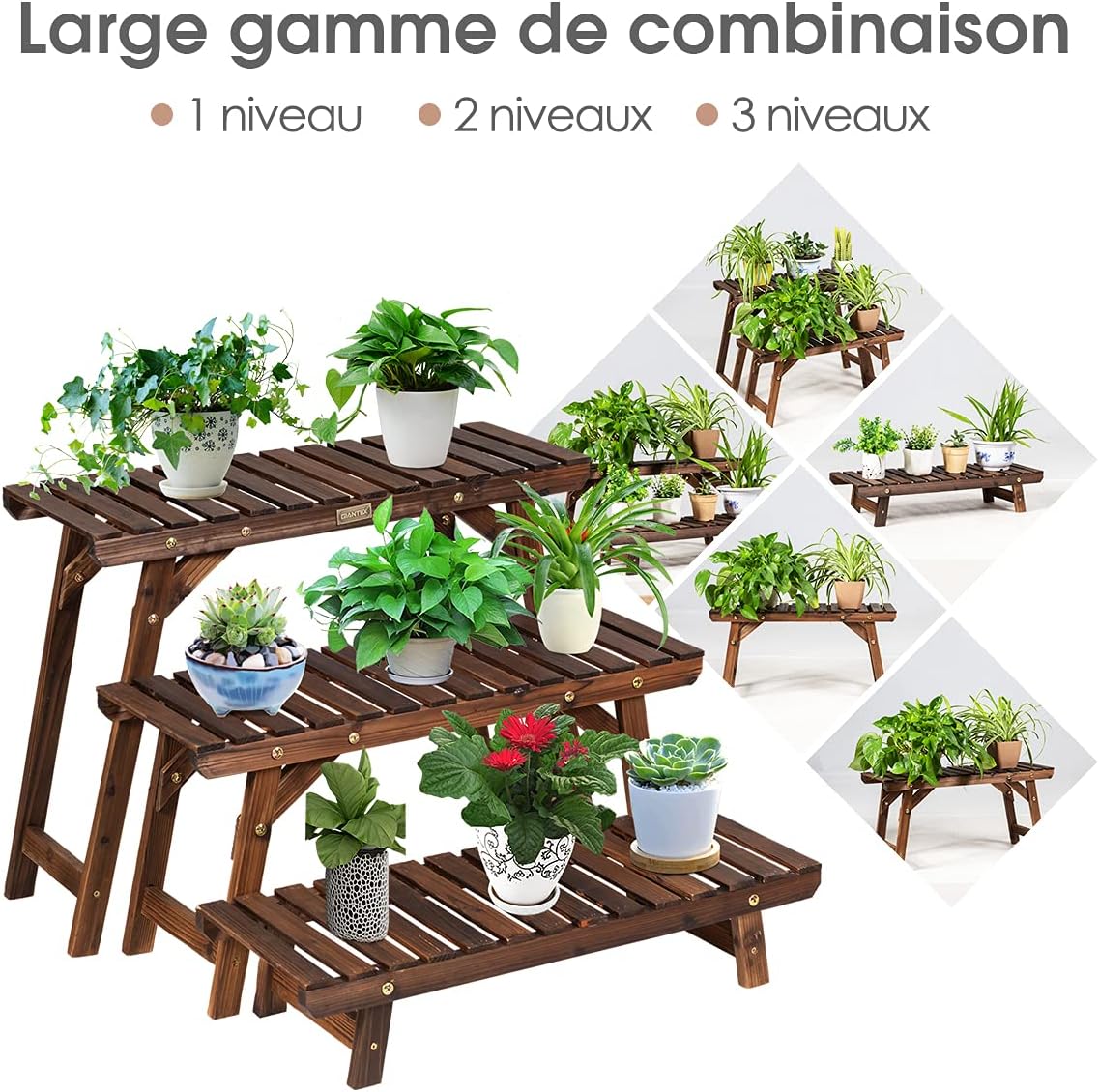 Étagère pour plantes en bois 3 niveaux echelle escalier porte-plante longueur 70cm charge 10kg - 5