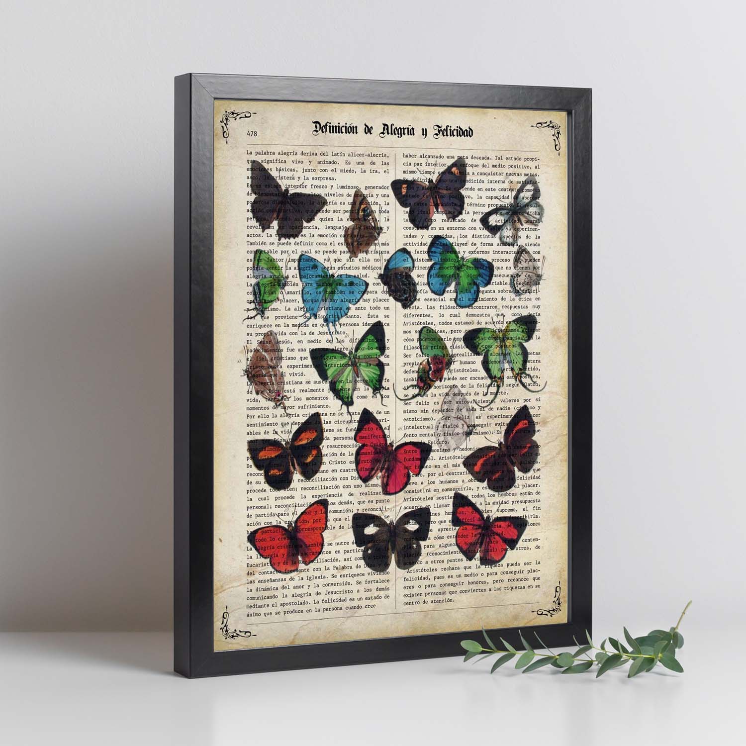 De  Morpho Didius - Il Morpho Blu - Vera Farfalla di Tassidermia Montato sotto Vetro in Cornice di Legno Nera Elegante Fatta a Mano