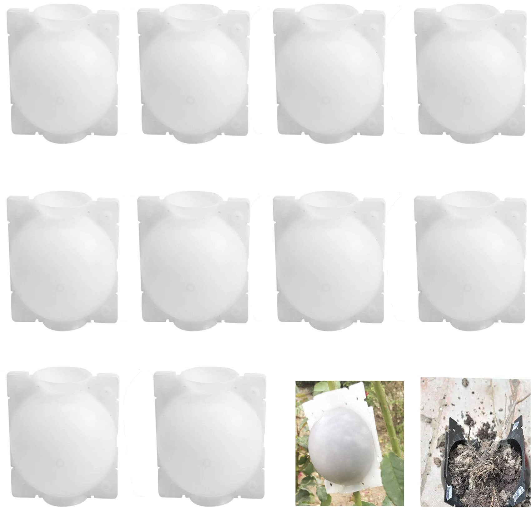 Pudełko do ukorzeniania roślin, 10 sztuk, wielorazowe kule do ukorzeniania, narzędzia do szczepienia, urządzenie do hodowli, L-12CM