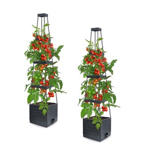 YARNOW Supporto per Piante Rampicanti in Metallo Traliccio da Giardino 50x15 Cm Porta Piante da Interno Resistente Asta di Fissaggio per Decorare Vaso