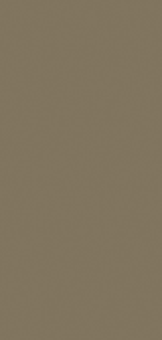 Lot 3 panneaux muraux TAUPE finition Brillant L. 90 cm x 210 cm, SCHULTE, DecoDesign COULEUR revêtement hydrofuge pour salle de bains, 2ème choix