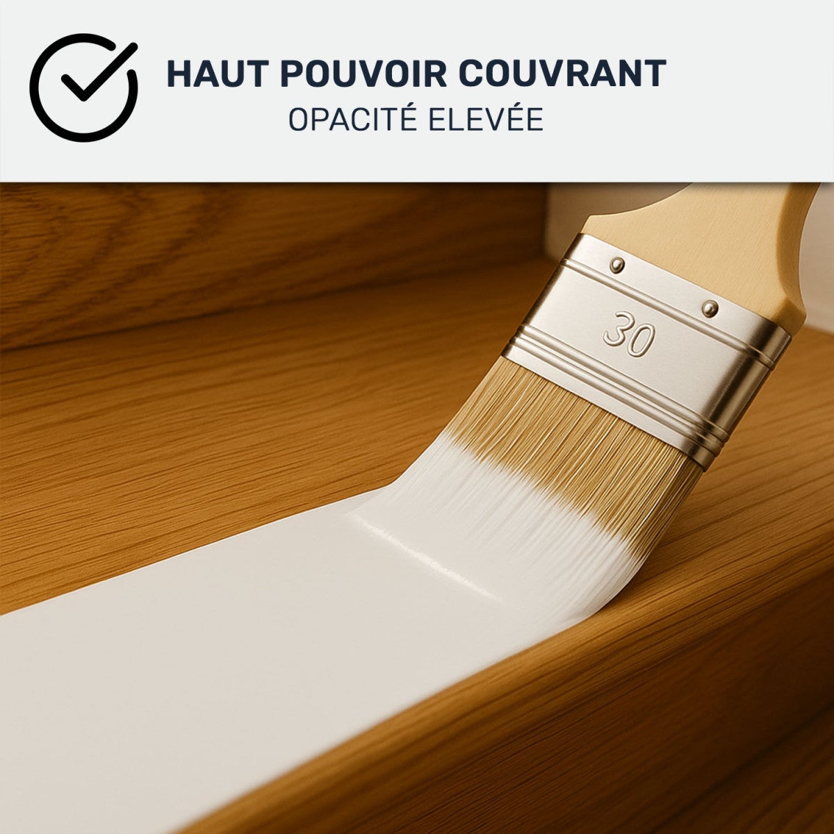 Peinture Escalier Bois : ARCADÉCO ESCALIER BOIS Gris Anthracite - RAL 7016 - 1 kg - ARCANE INDUSTRIES - 3