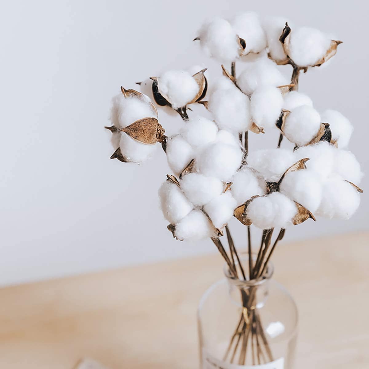 Tiges de coton séchées naturelles, bouquet décor ferme, arrangement floral DIY déco maison fête, lot de 20. - 6
