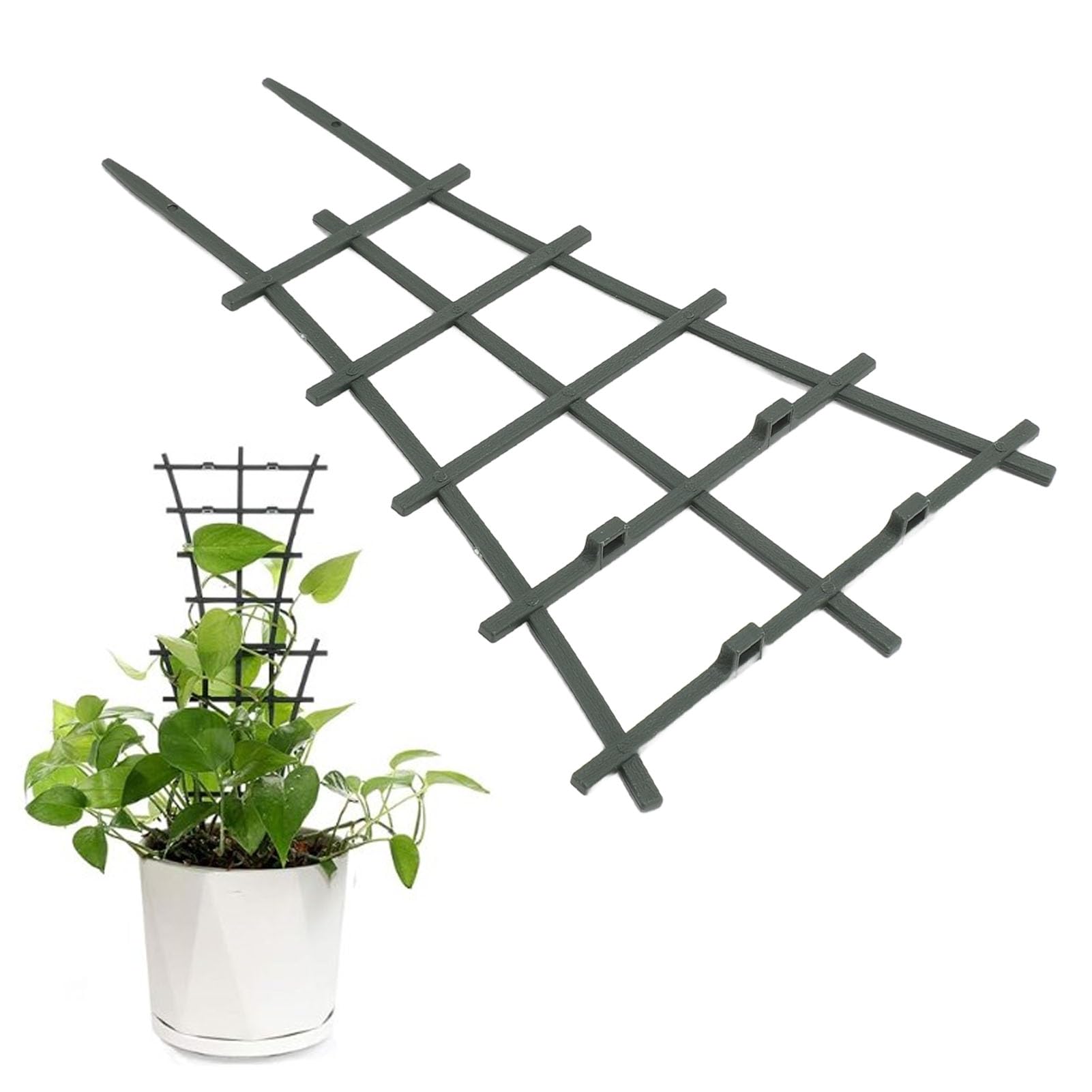 Traliccio Per Piante Rampicanti – Rotondo 25x37 Cm, In Acciaio E Plastica, Per Interni