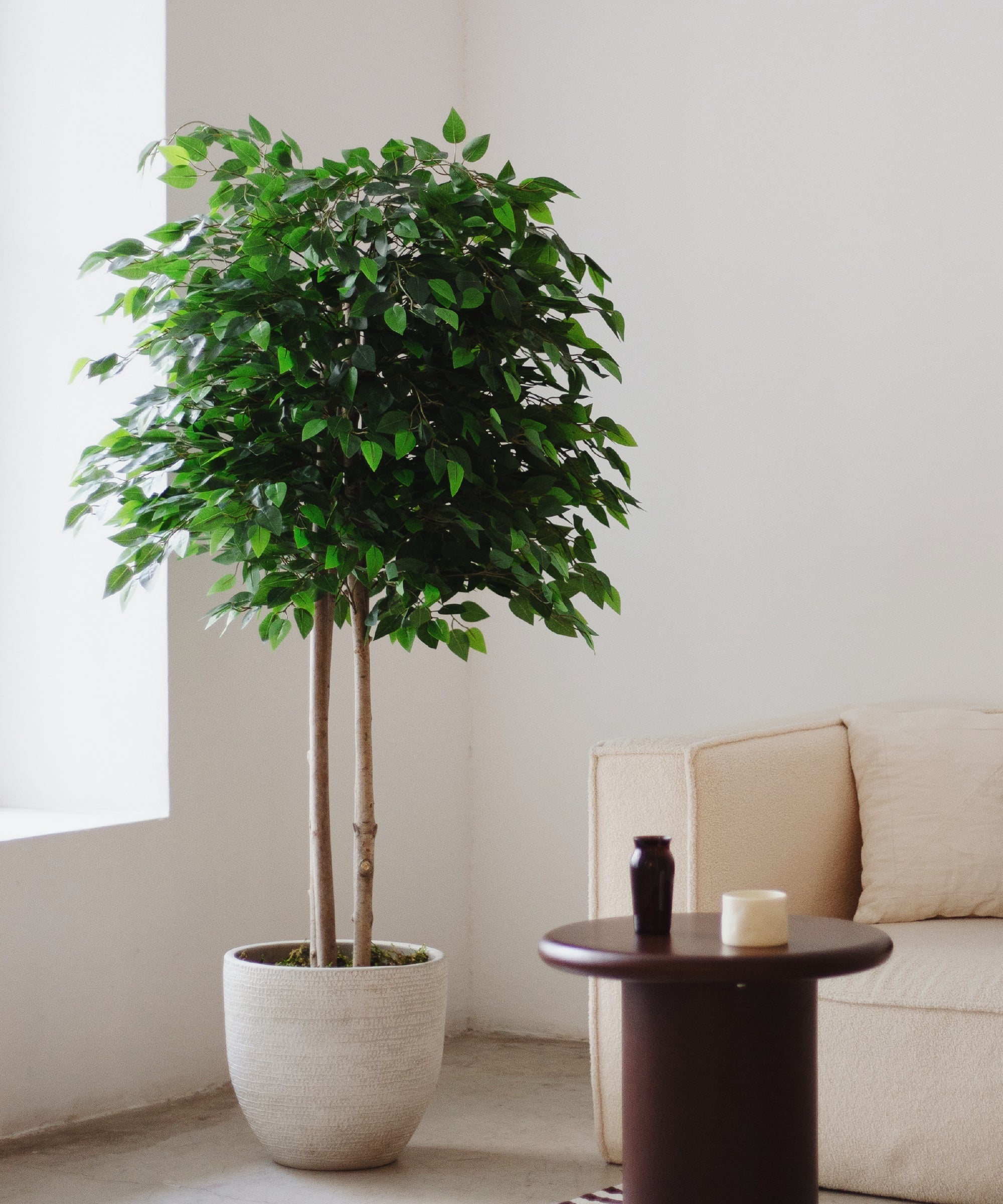 Maia Shop  Planta Artificial, Árbol Artificial, Ficus Verde , Leroy Merlin