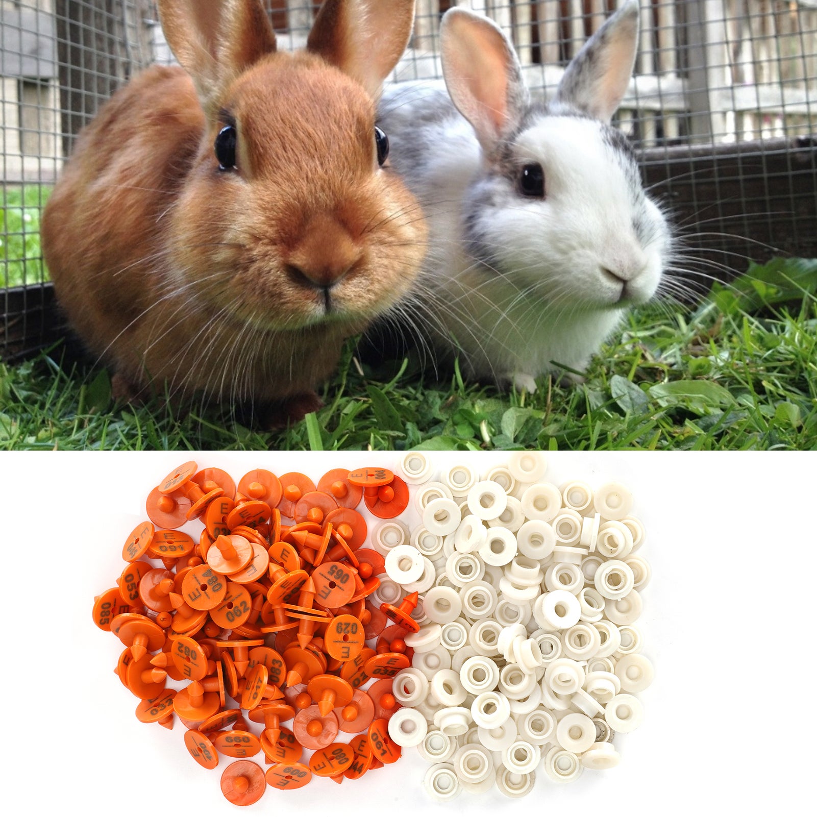 100 set di etichette numerate per conigli, marcatori di identificazione degli animali, etichette per fattorie - 8
