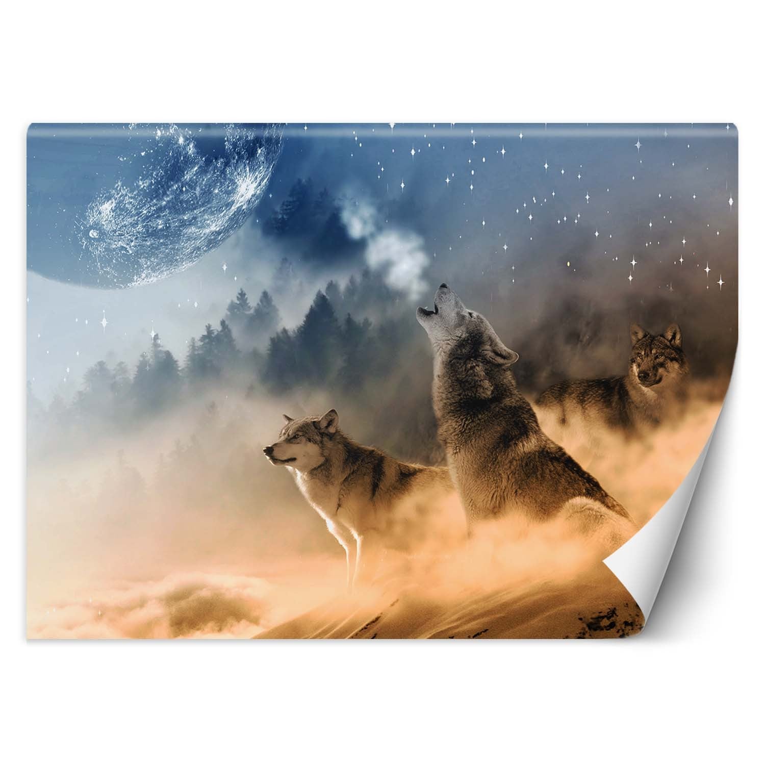 Fototapeta, Wilki las we mgle 250x175