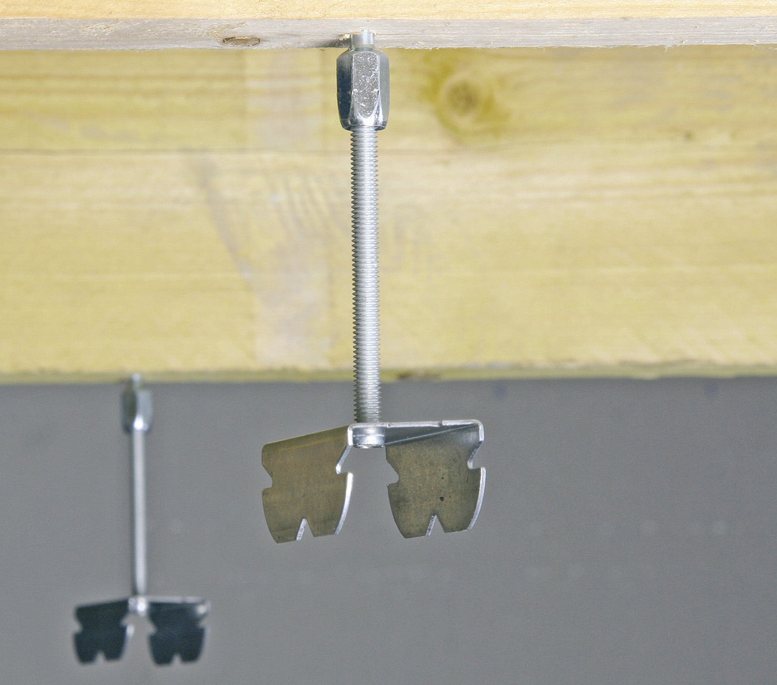 Pitons Femelles Semin, Boite de 100 - 2