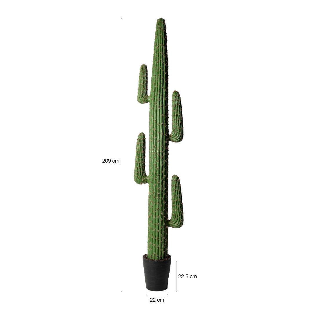 Planta Artificial Cactus Gigante Saguaro 209cm - 5