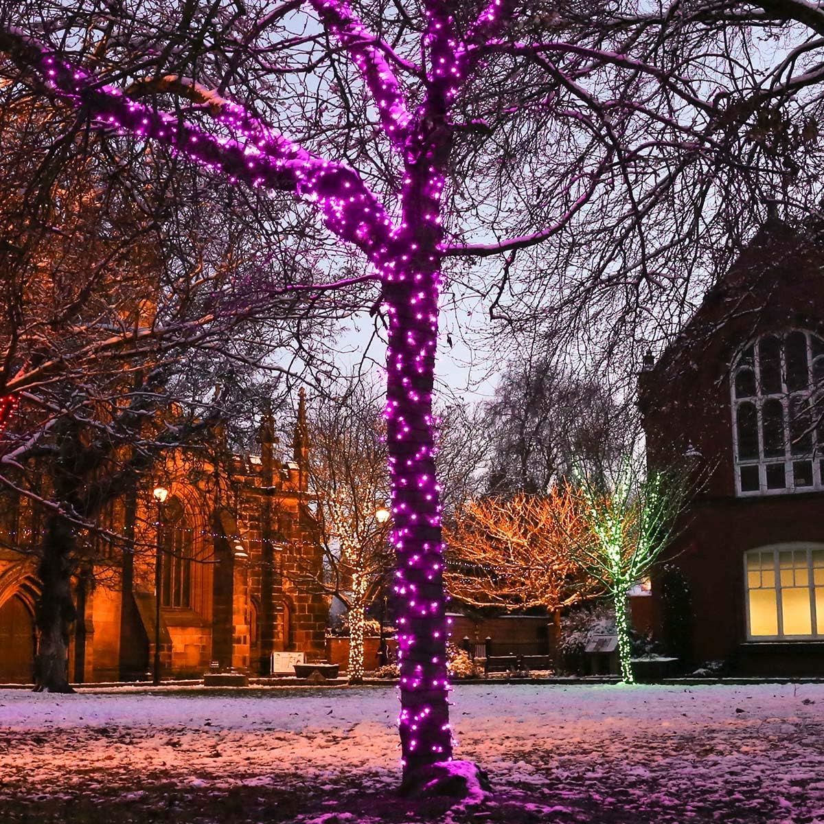 100M 1000 LED Guirlande Lumineuse Carnaval Mariage Extérieur Jardin Intérieur Éclairage（Violet） - 4