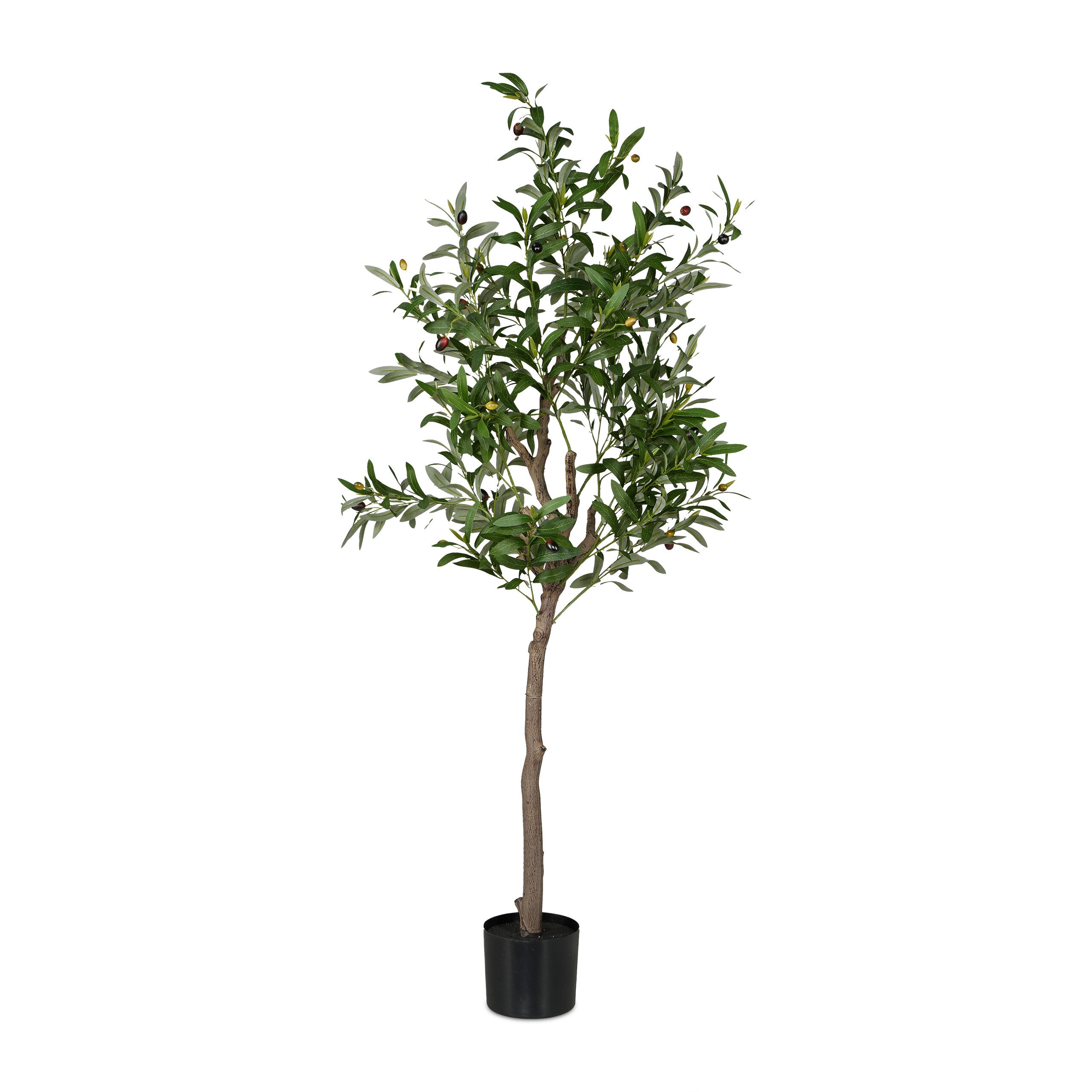 150 Cm Avec Olives En Pot Tronc Bois Noueux H 150 Cm Vert D 60 Cm