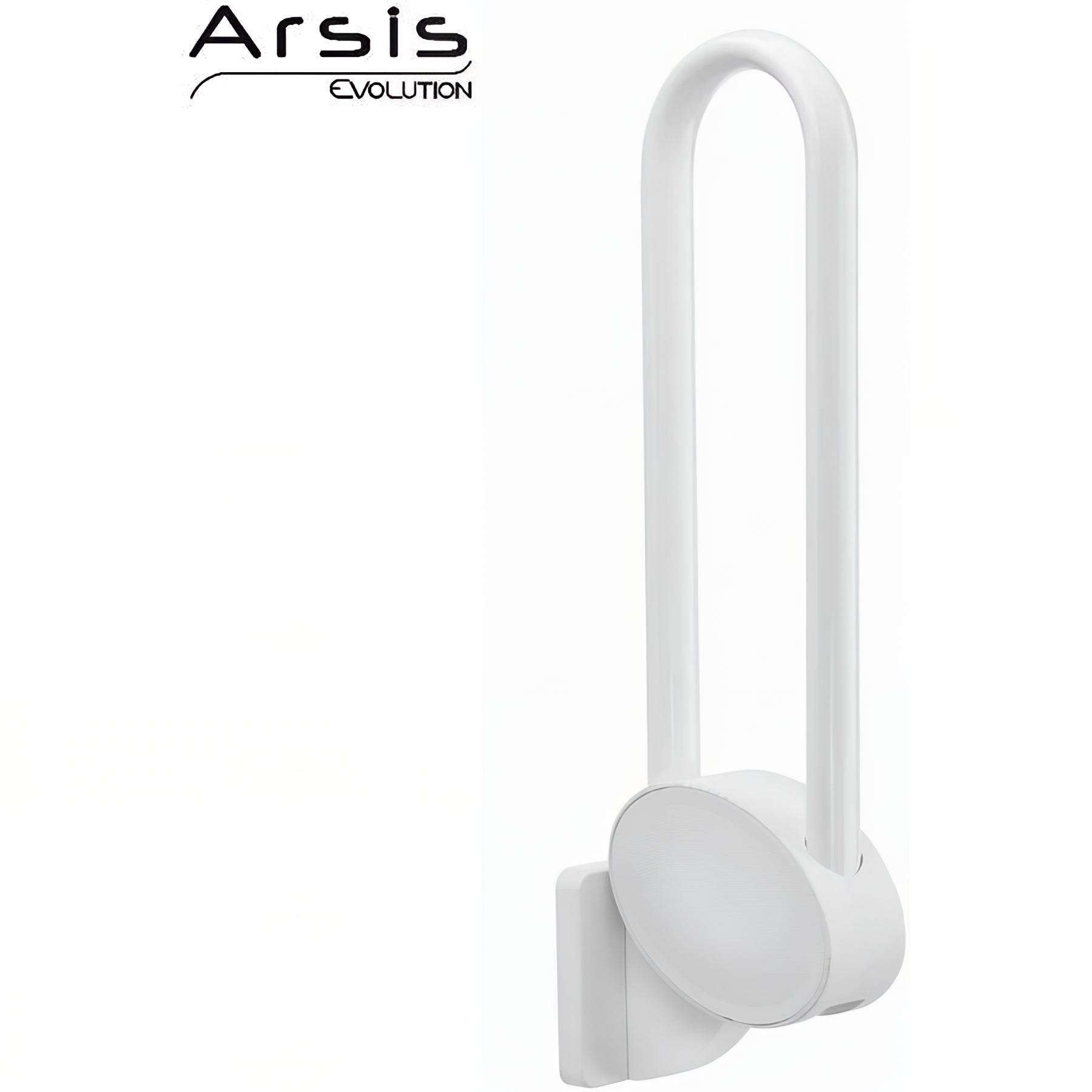 DELABIE - Barre appui relevable D 32, L 650 mm, 60N réf. 5160N DELABIE - Barre appui relevable D 32, L 650 mm, 60N réf. 5160N