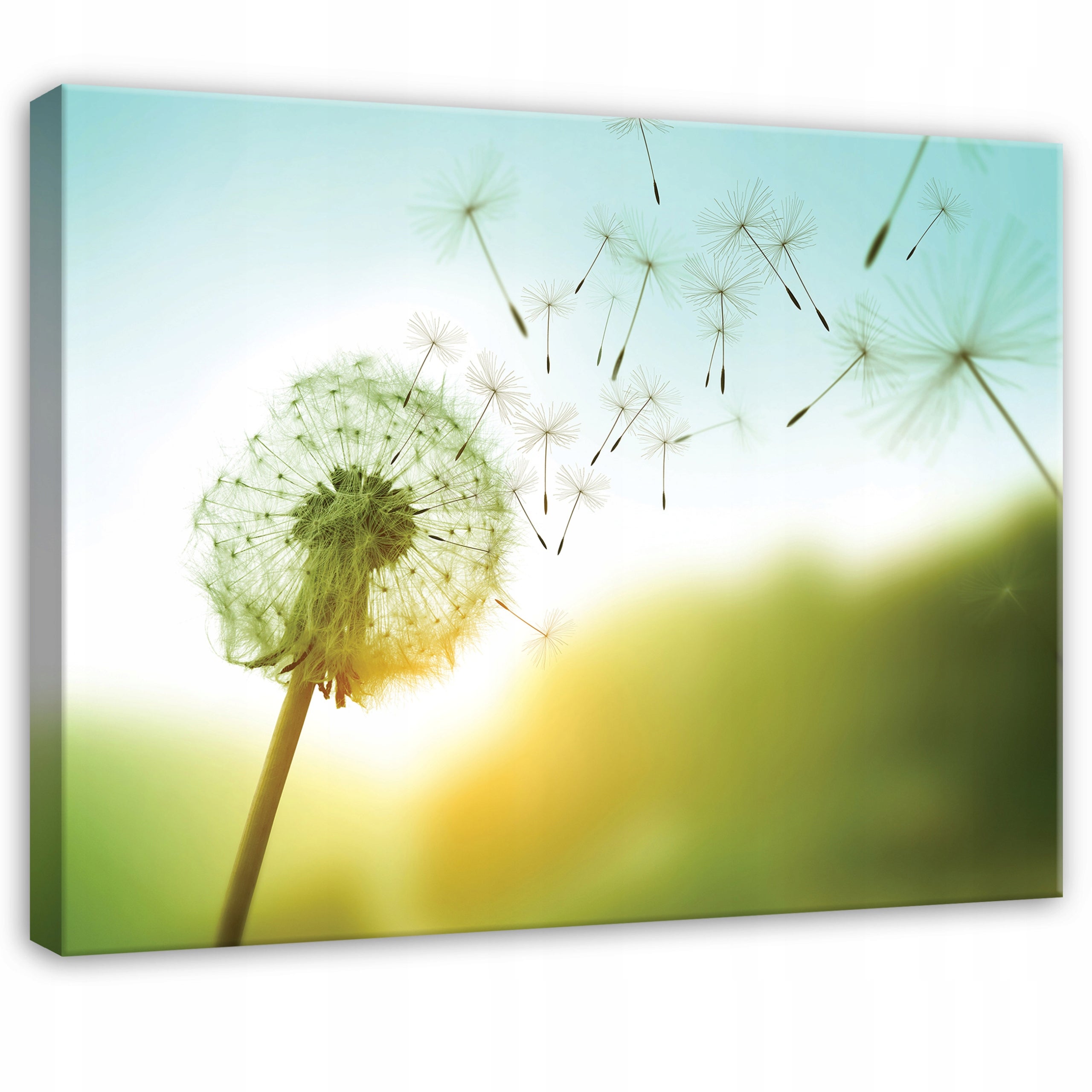 Tablou Canvas papadii verde flori Tablou decorativ Living Bucatarie Tablouri de perete 60x40 cm