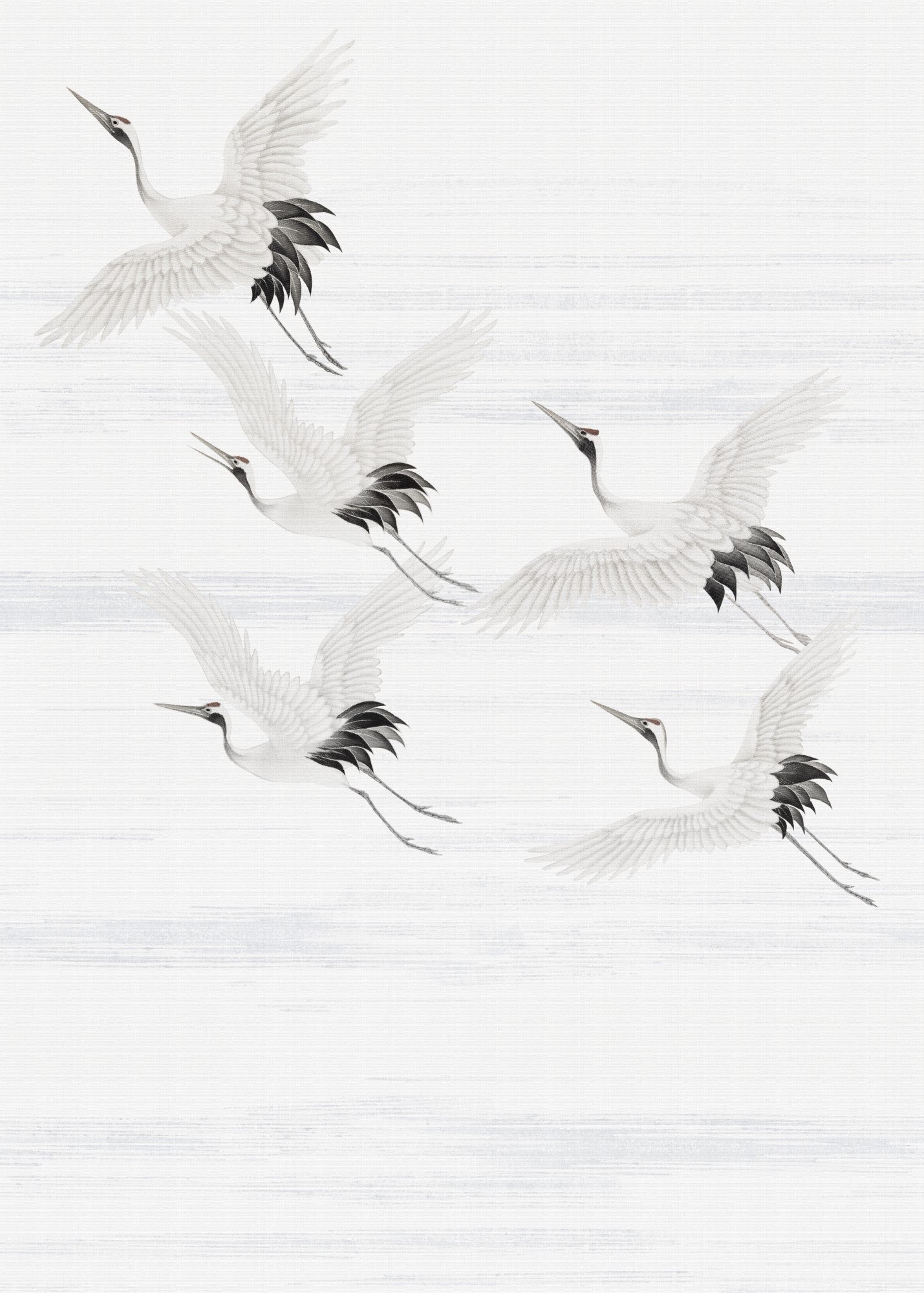 Papel pintado panorámico aves,la partida de las grullas salvajes 200 x 280cm gris