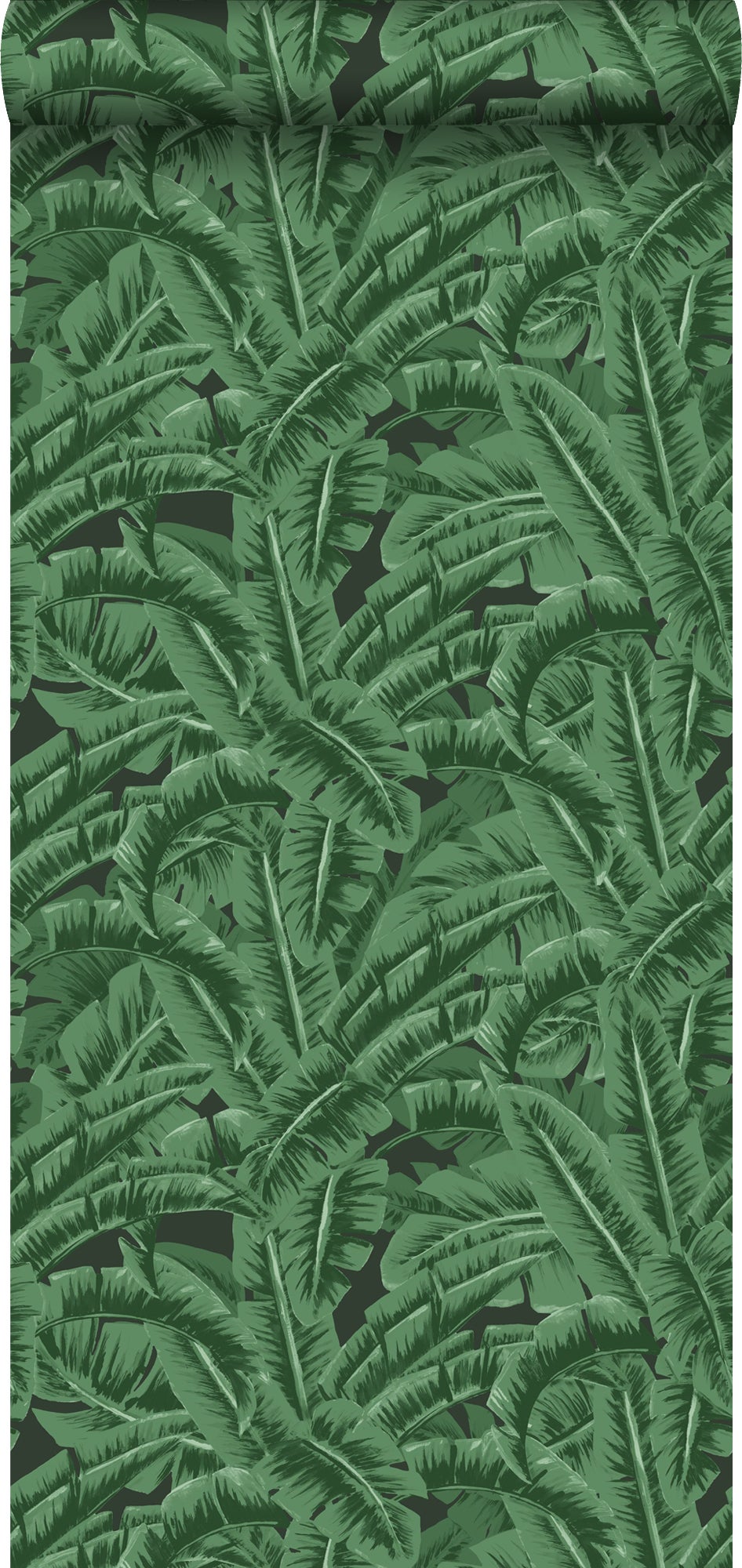 Papel pintado hojas de banano verde oscuro y negro - 0,53 x 10,05 m - estahome