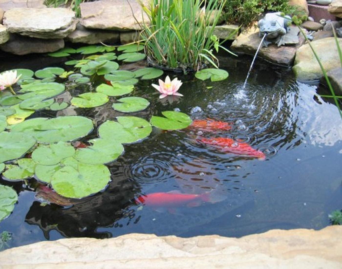 Revêtement d'étang 1×1 m, revêtement d'étang noir en PEHD, adapté aux cascades, aux étangs à poissons, aux fontaines de jardin - 2