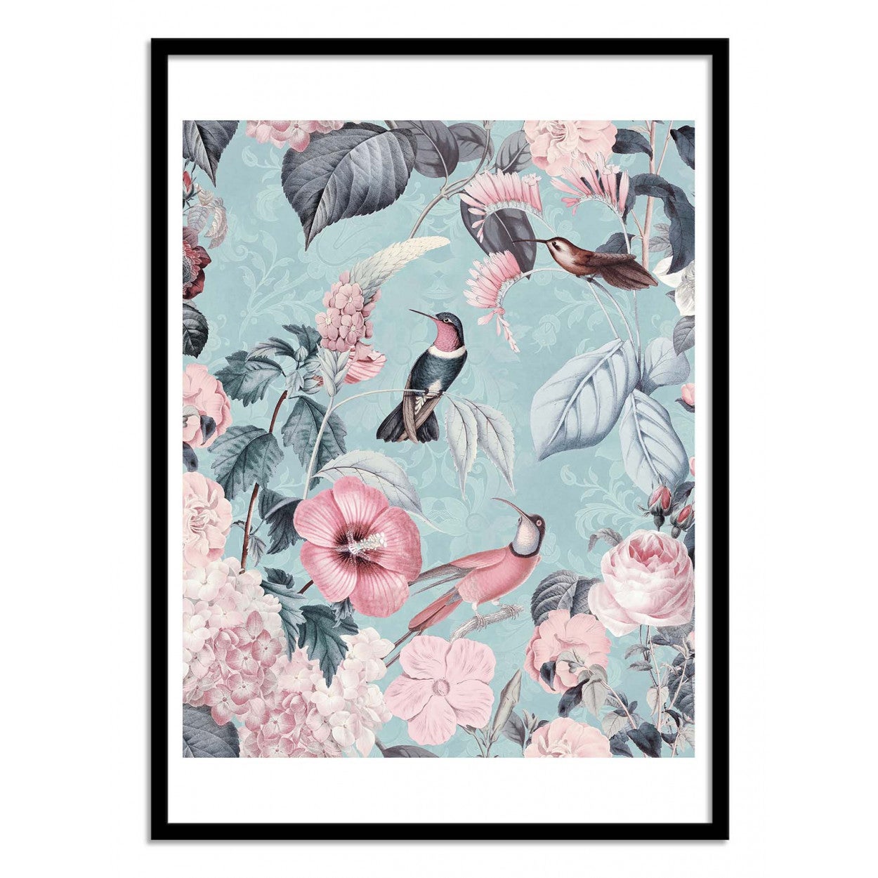 Art-poster - romantic hummingbirds pink - andrea haase - con marco negro 50 x 70 cm
