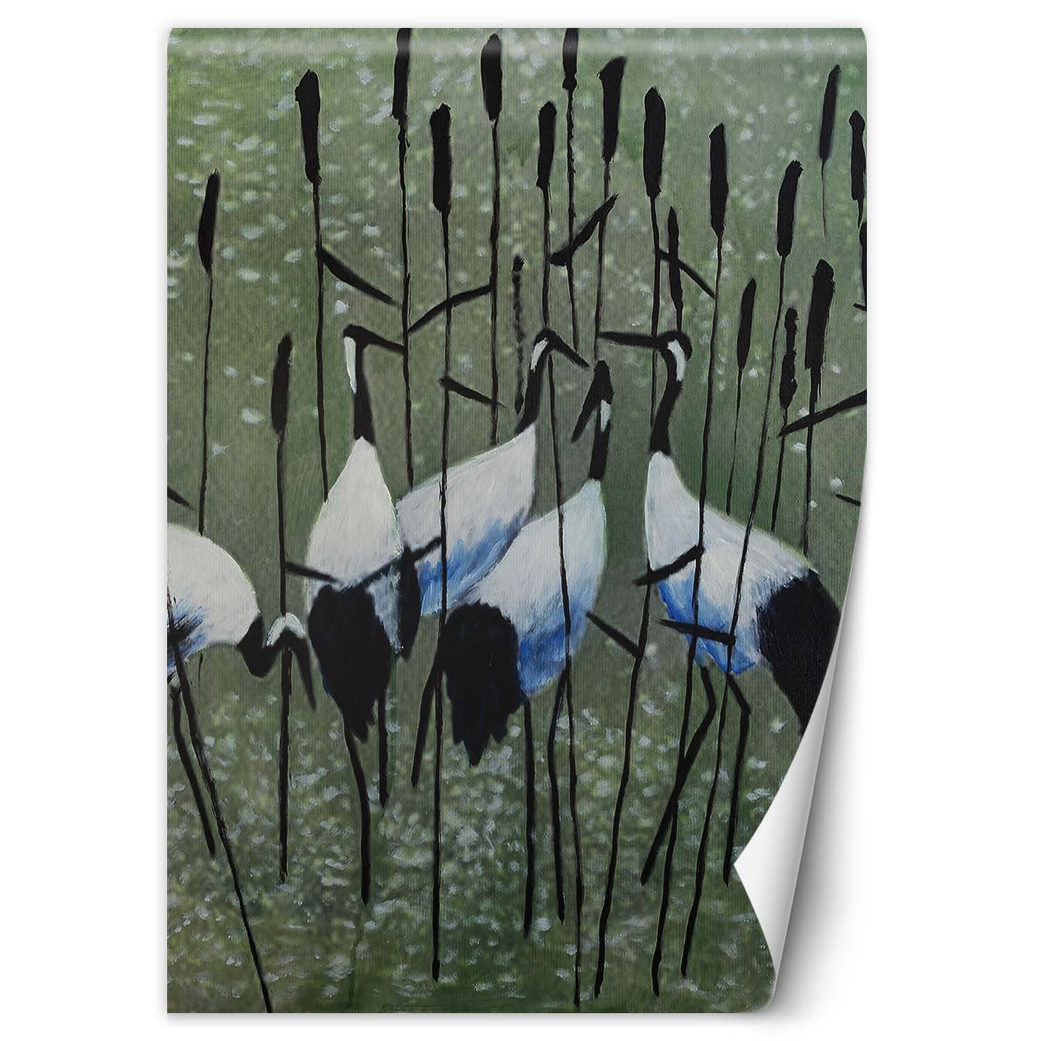 Fototapeta, Czaple na łące 100x140
