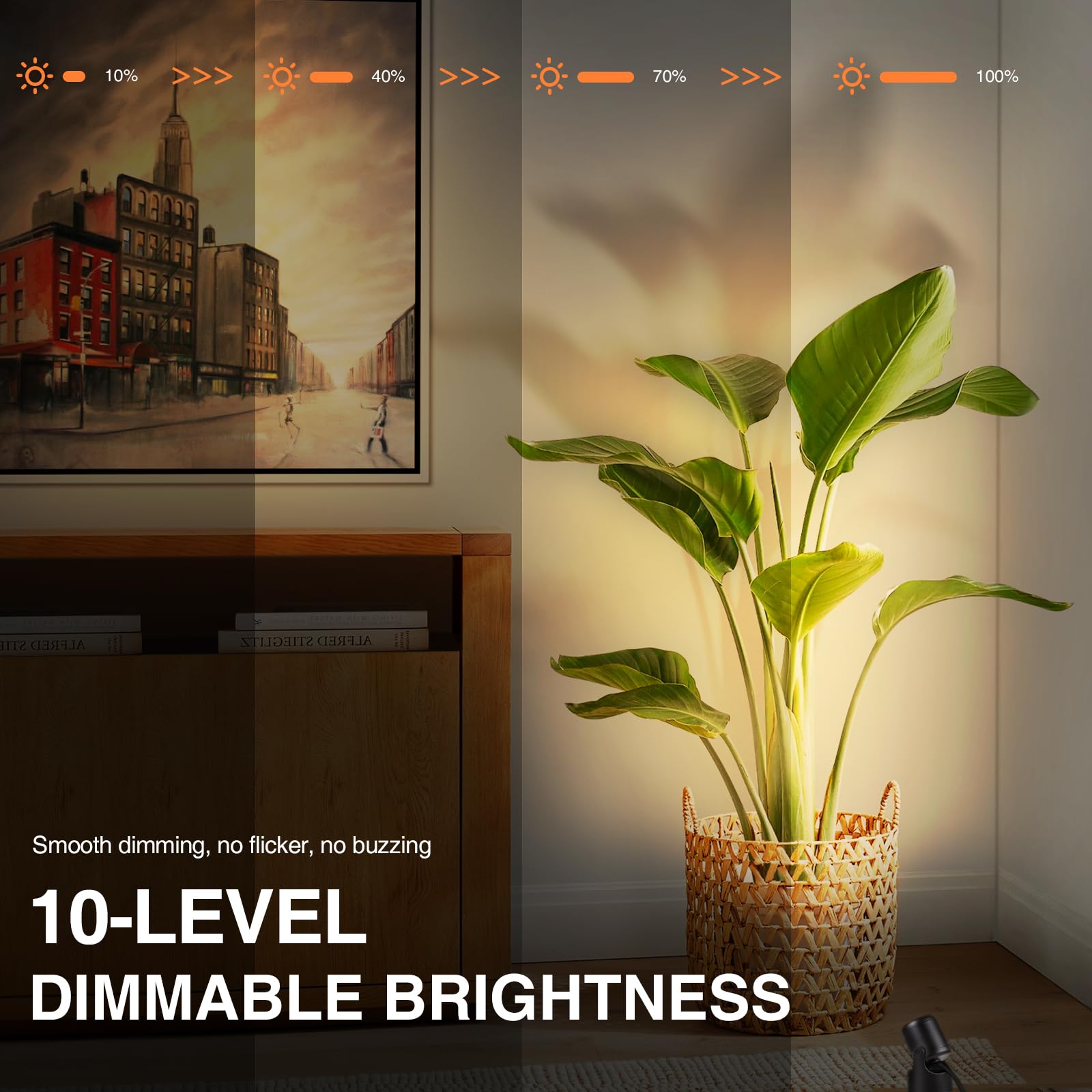 Spot LED, 3 températures de couleur, 3 W, plug-in avec fonction mémoire, lampadaires d'intérieur avec télécommande, intensité variable - 5