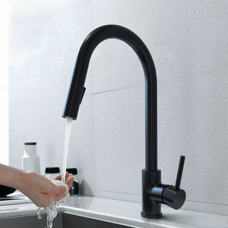 DELINIA Lily czarny mikser kuchenny ze spryskiwaczem