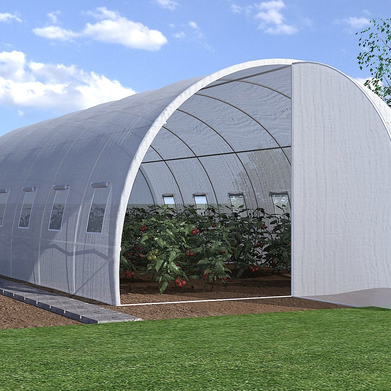 Szklarnia tunelowa ze stalową galwanizowaną konstrukcją i drzwiami 18 m² - Dł.600 x Szer.300 x Wys.200 cm - ALOCASIA