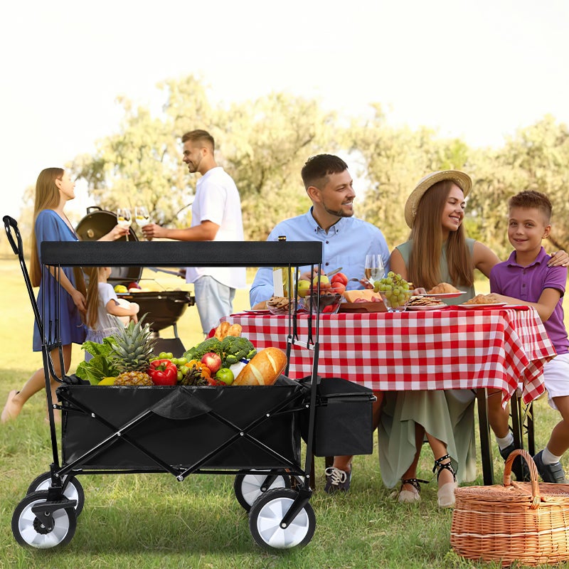 Chariot Pliable avec Toit Chariot de Transport capacité de Charge de 80 kg Noir - 8