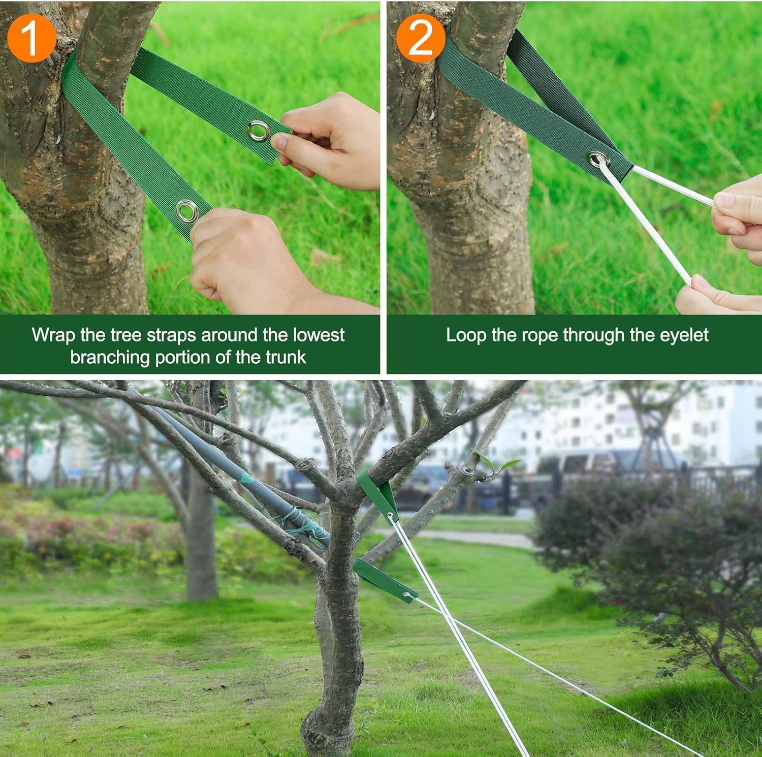 (12 PCS)Attache Arbre, Attache Plante, Liens de Jardinage pour Ligatures, Sangles Tuteur avec œillets Sangle Arbre Tuteur Sangle Nylon Sangles d'arbre - 4