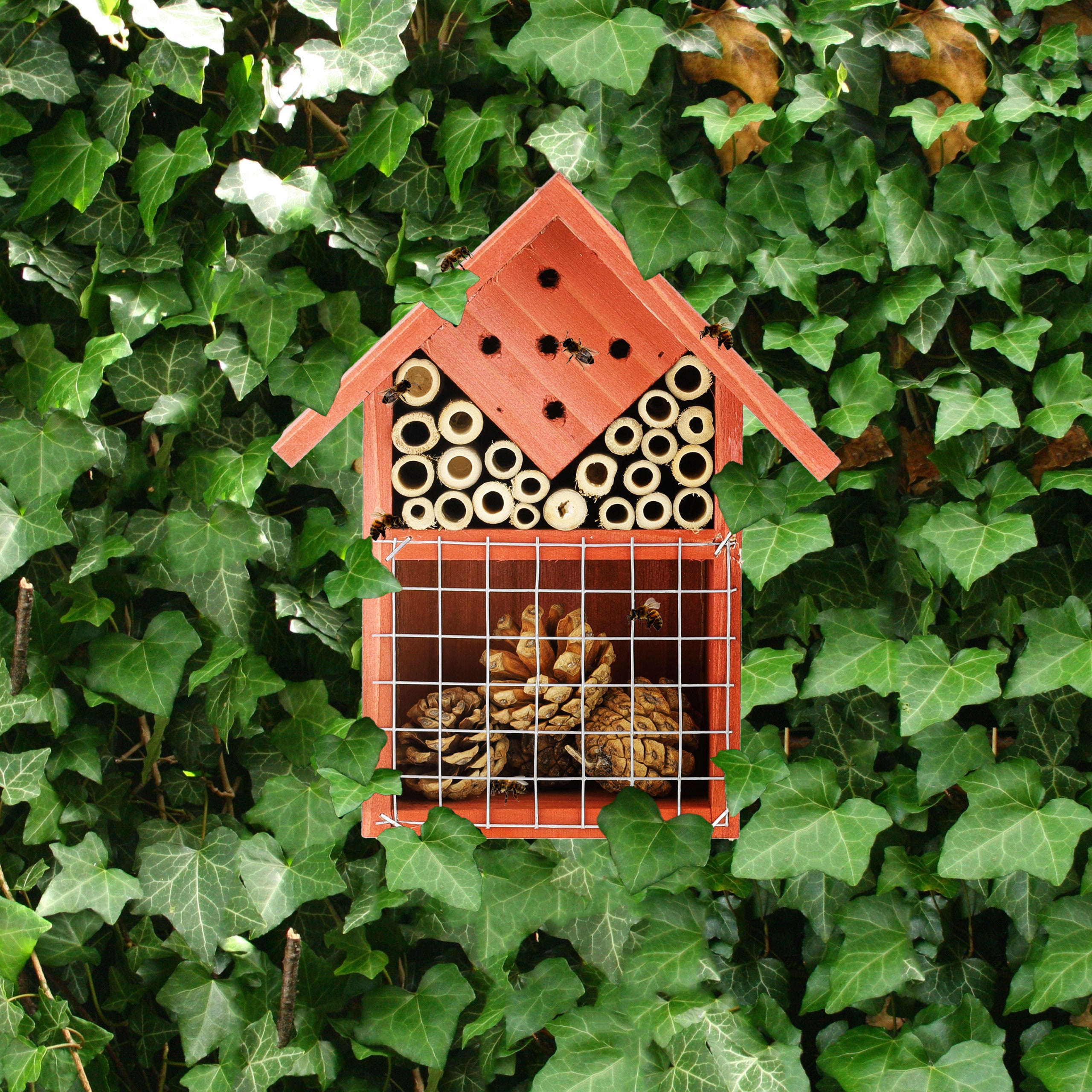 Casetta Maxi Hotel Per Insetti Utili, Api, Farfalle, Ricci