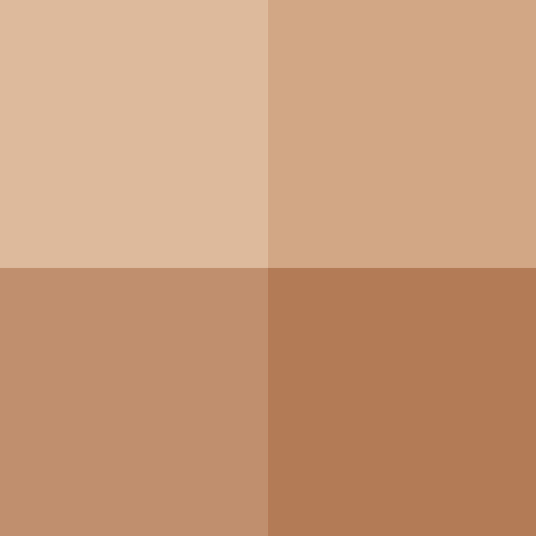 Pigments en poudre Cimcolor pour beton ciment enduit joint chaux Richard Cimcolor Terre du Mexique 1kg - 2