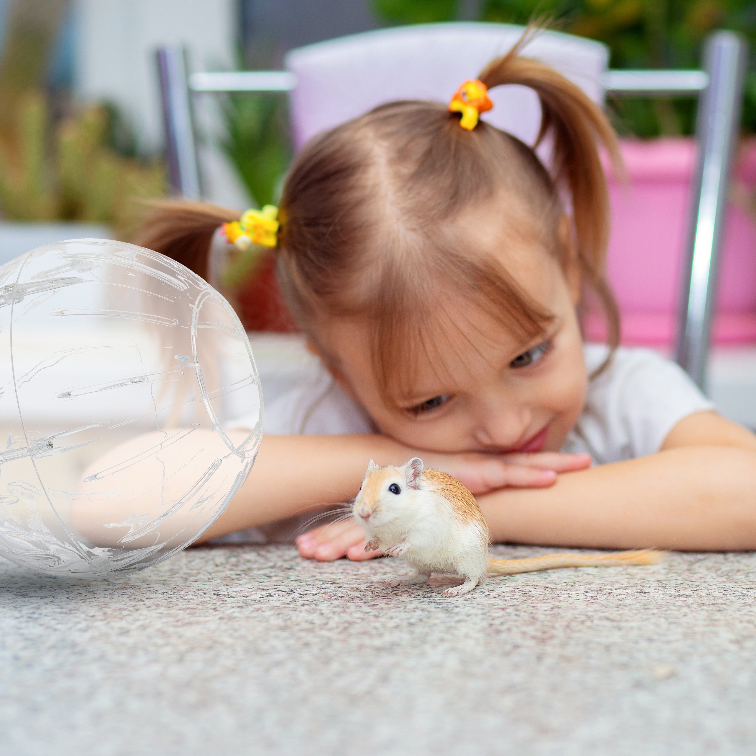 Palla per Criceti, Sfera da Ø 18,5 cm, Giocattolo per Topi, in Plastica, Hamster Ball, Trasparente Bianco, Relaxdays - 3