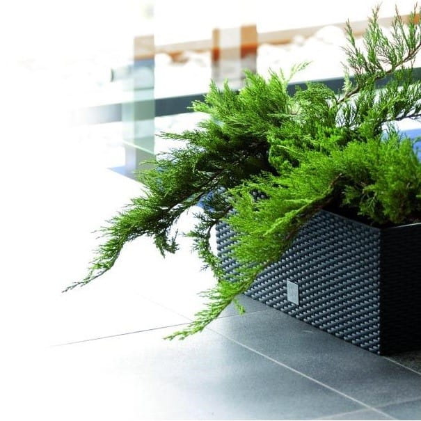 Jardinière rectangulaire de 17 litres avec arrosage automatique, couleur anthracite, dimensions 52 x 20 x 19 cm - 3