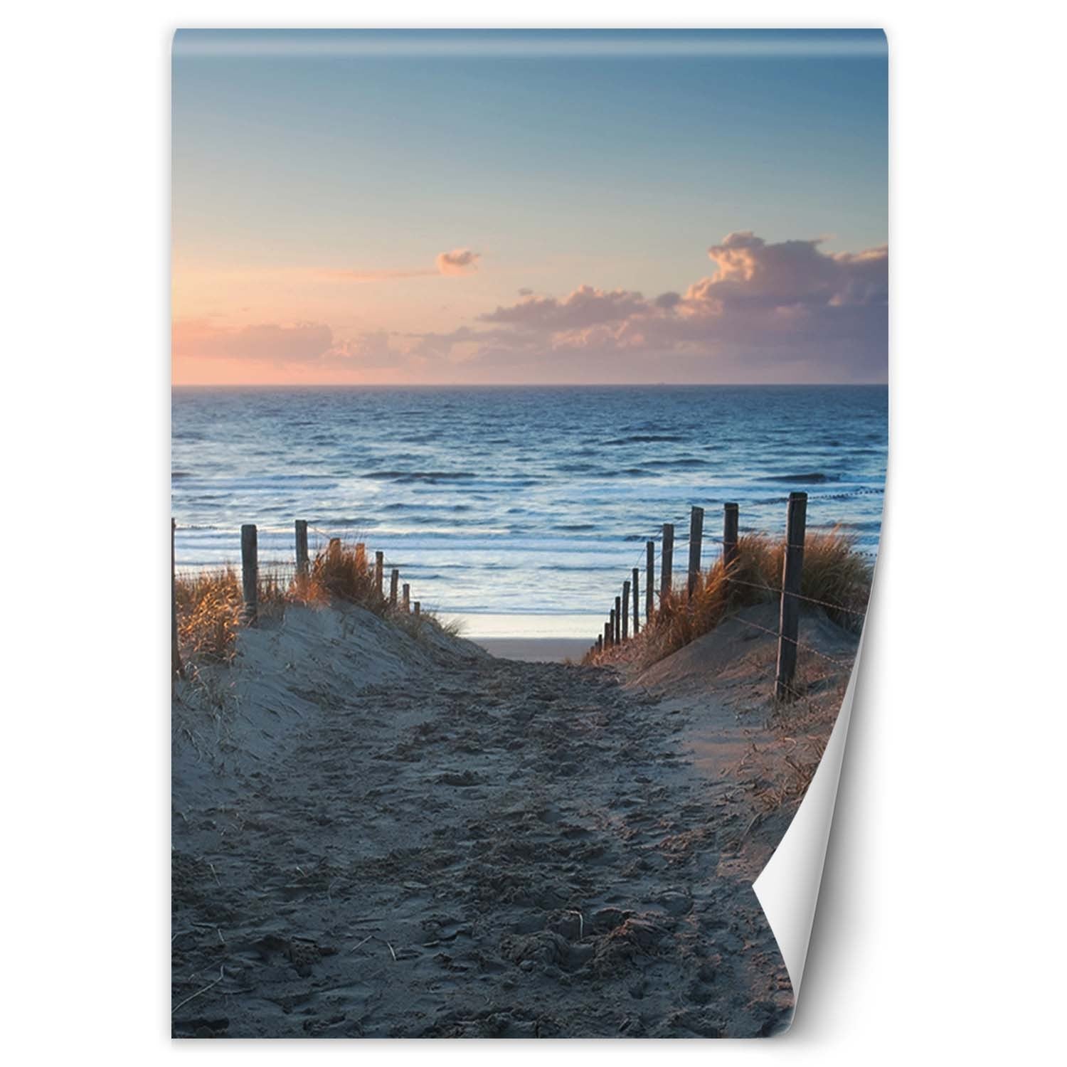 Fototapeta, Zejście na plaże 100x140