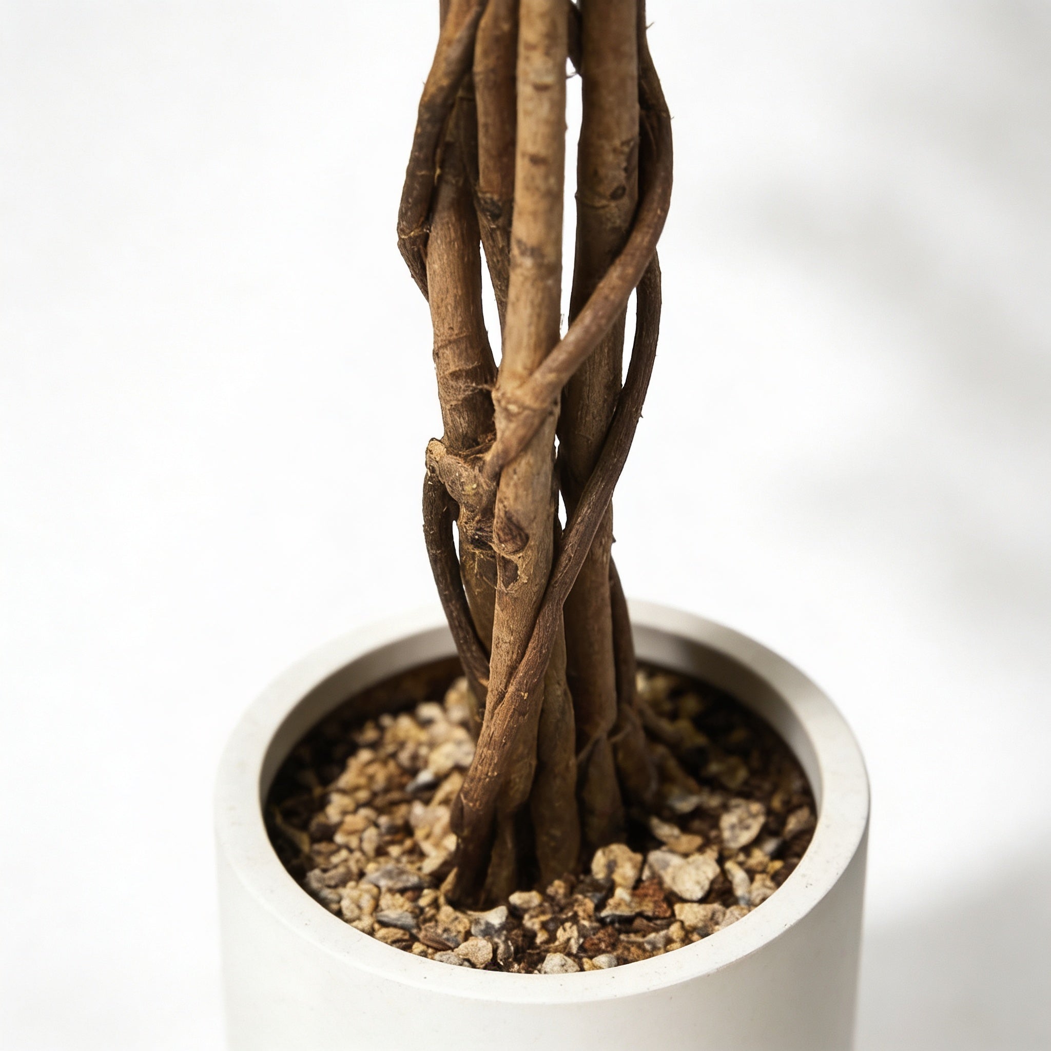 Planta artificial decorativa Ficus de 210 cm en maceta color verde - 3