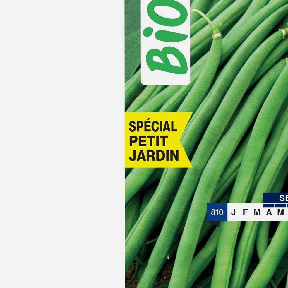 Graines haricot nain argus BIO Les Doigts Verts 100g - 4