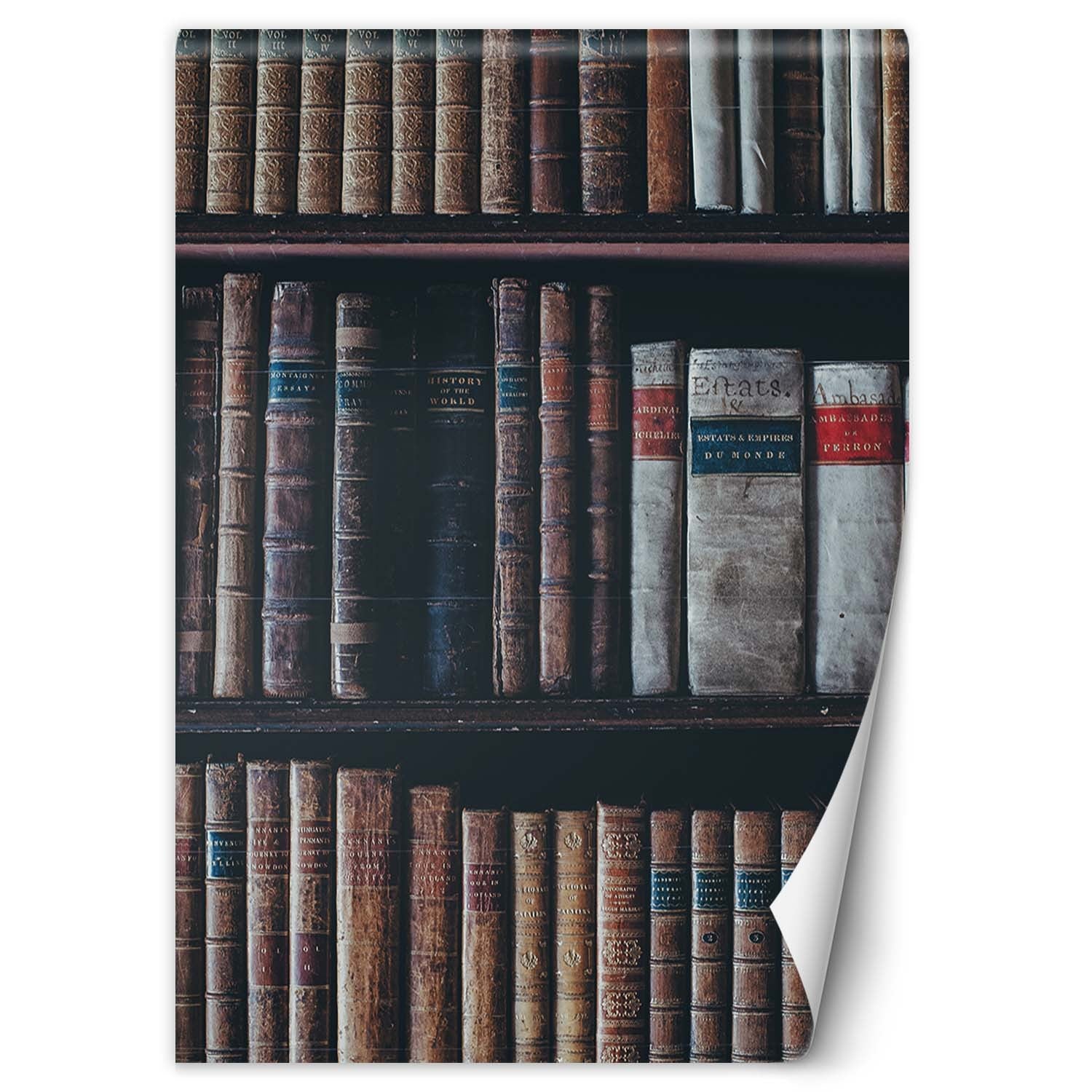 Fototapeta, Biblioteka książki 100x140