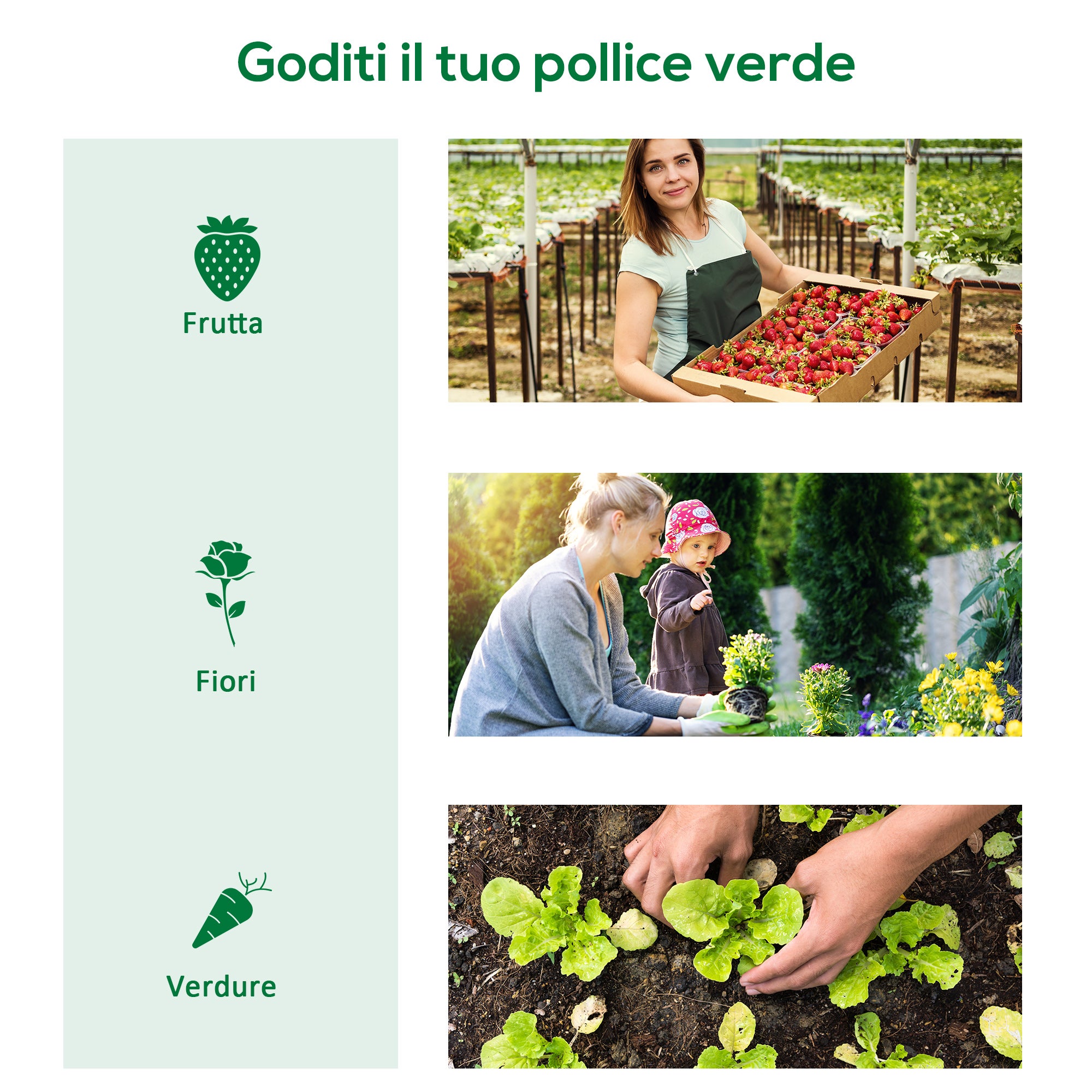 Mini serre de jardin en acier vert et polyéthylène avec 3 fenêtres rétractables, 400 x 100 x 80 cm - 9