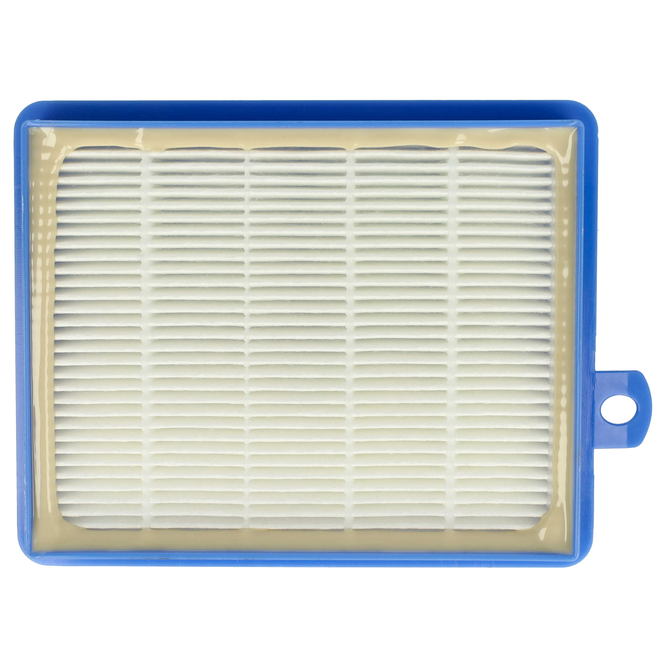 Vhbw Filtro Aria Di Scarico Compatibile Con AEG Clario AEC 7571 Cyclone XL - Sostituisce AEF 13W, H13