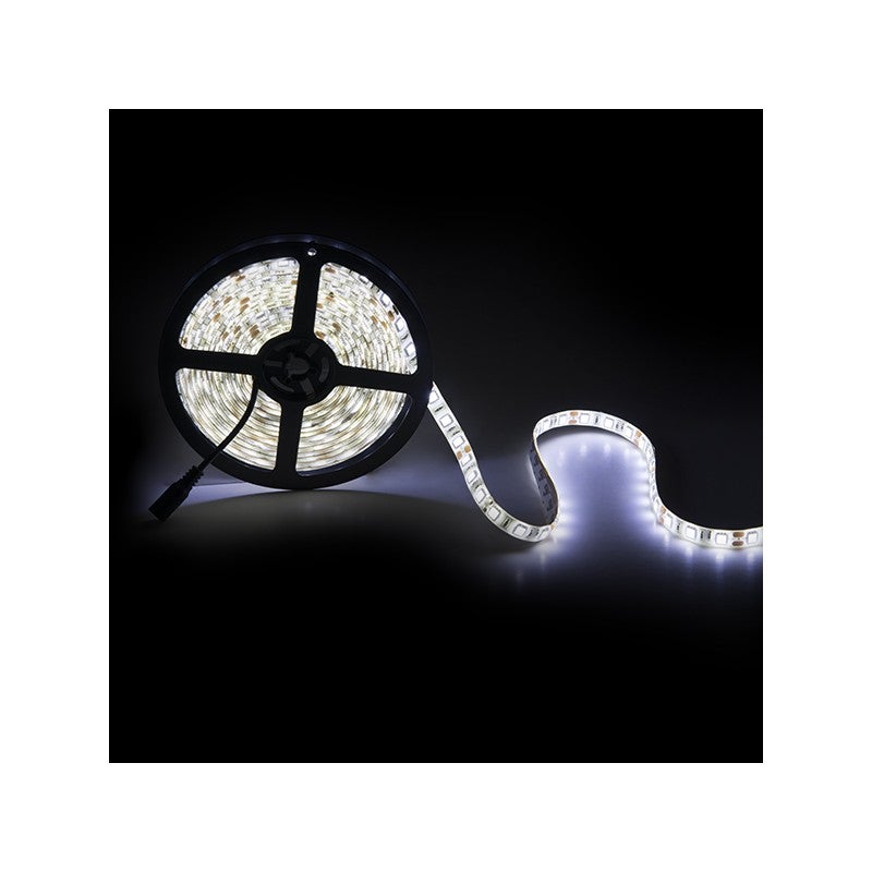 Bande De 300 LEDs 24W 1.200Lm SMD3528 12VDC IP65 X5M 40.000H [PL219002R