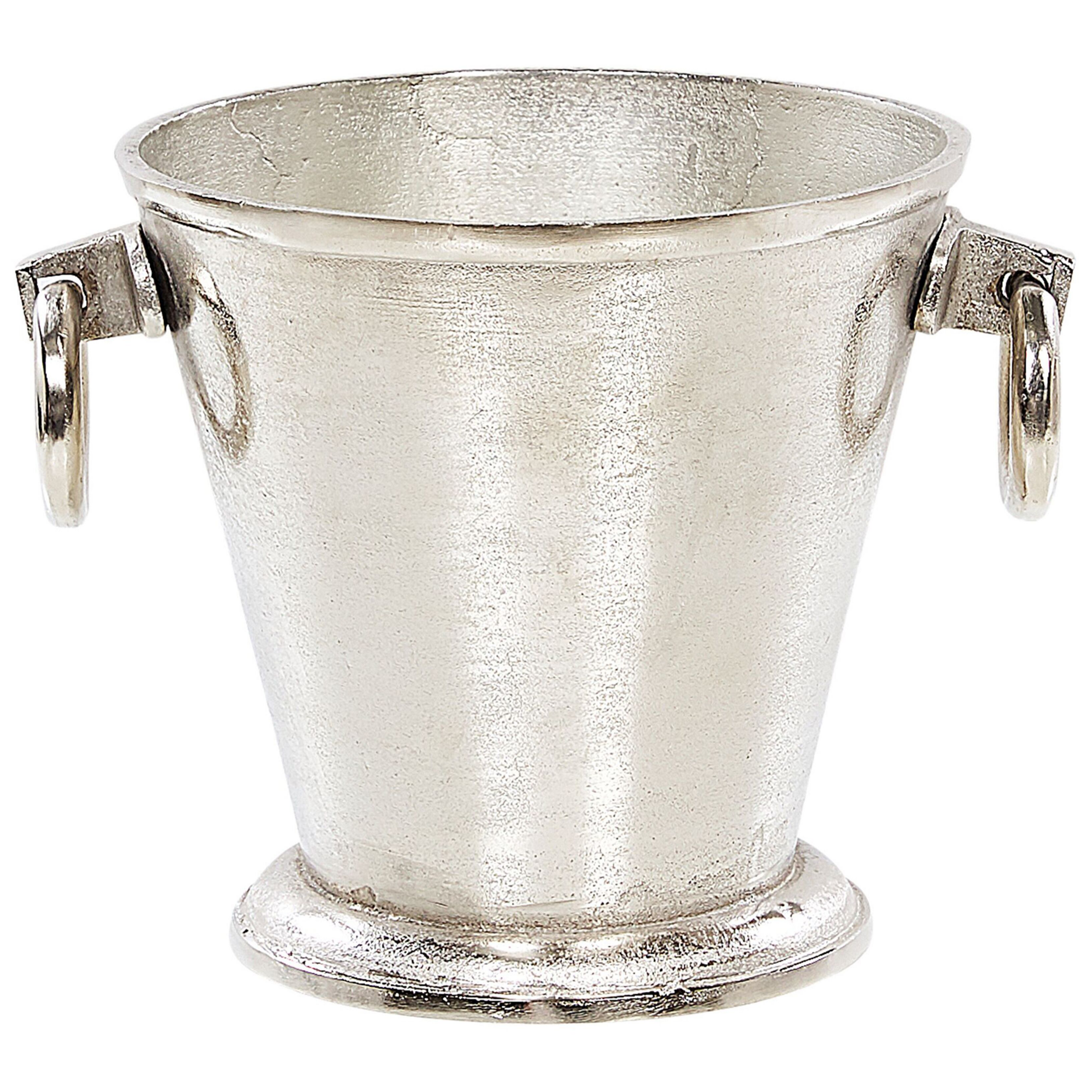 Secchiello per ghiaccio BIRMA Metallo Argento - 6