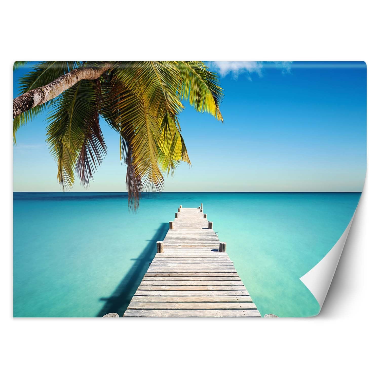 Fototapeta, Tropikalna plaża palmy pomost natura 450x315