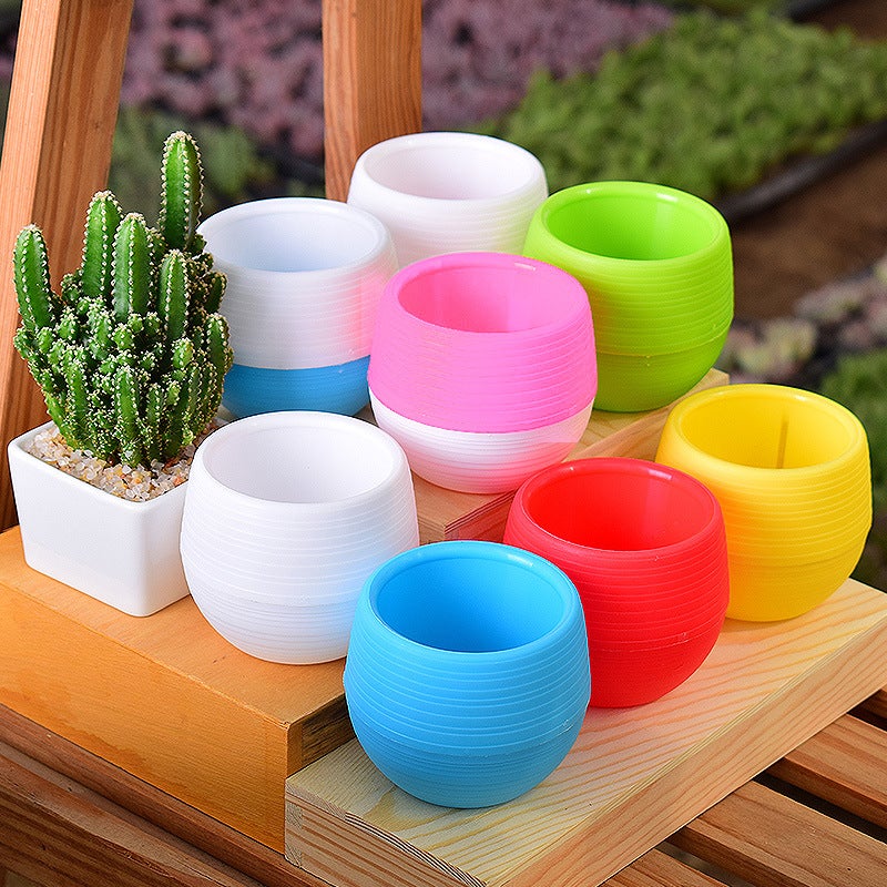 Vaso per piante grasse in gres fatto a mano, Peace Love Succulents