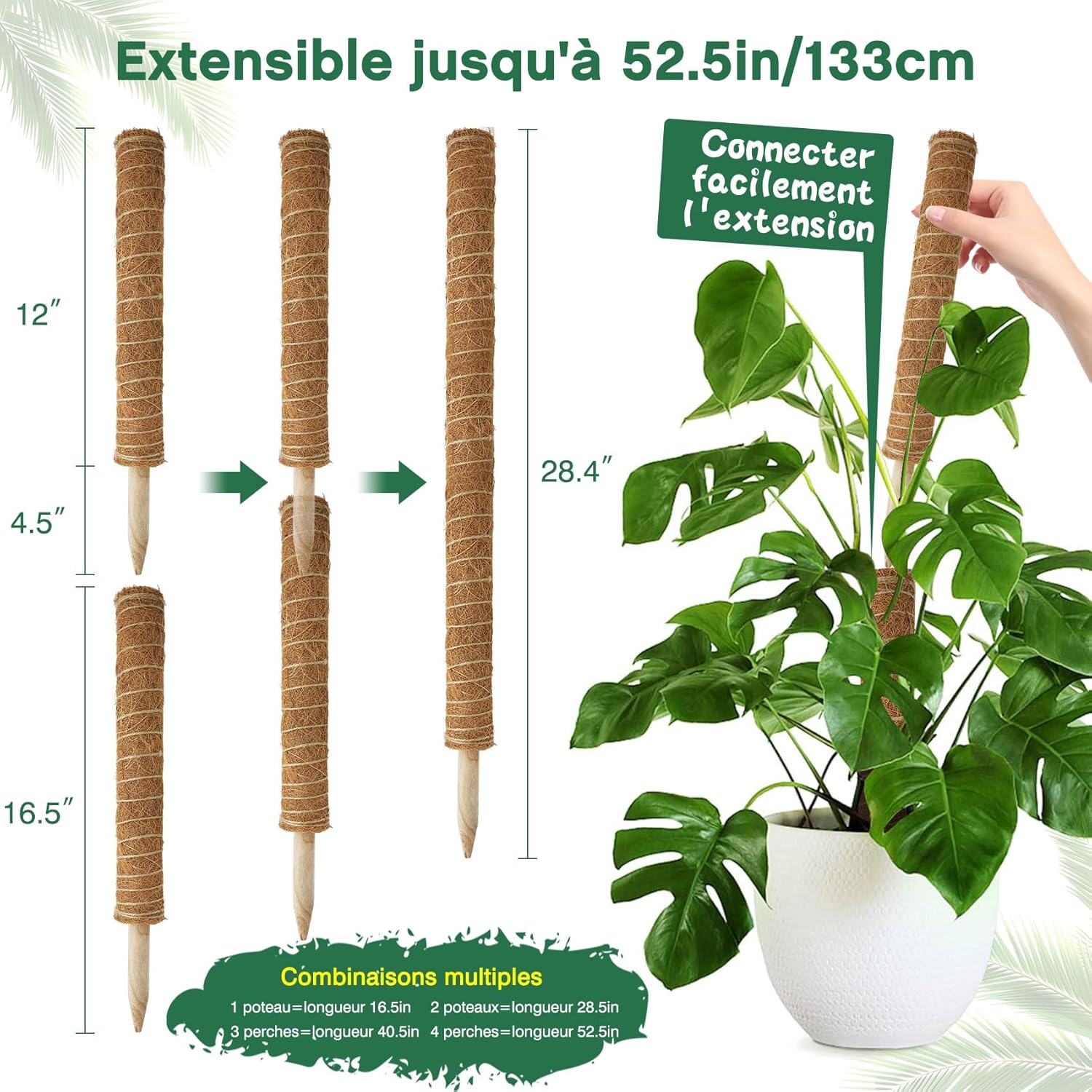 Lot de 4 Tuteurs pour Monstera–40cm(Extensibles jusqu'à 193 cm)–En Fibre de Coco–Support Modulable pour Plantes Grimpantes–Idéal pour Monstera - 3